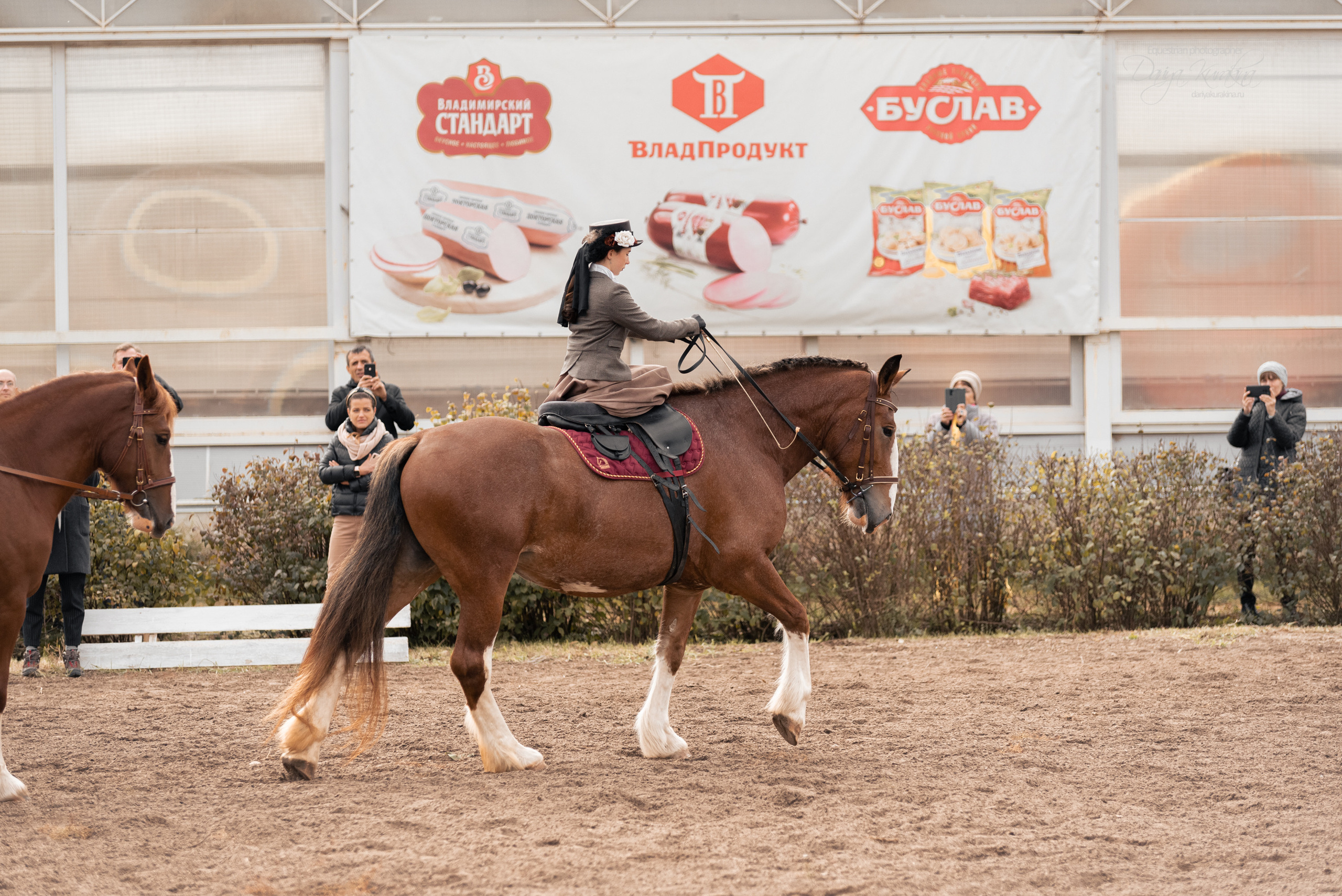 Богдарня. Конный фотограф Куракина Дарья • Фотосессии с лошадьми