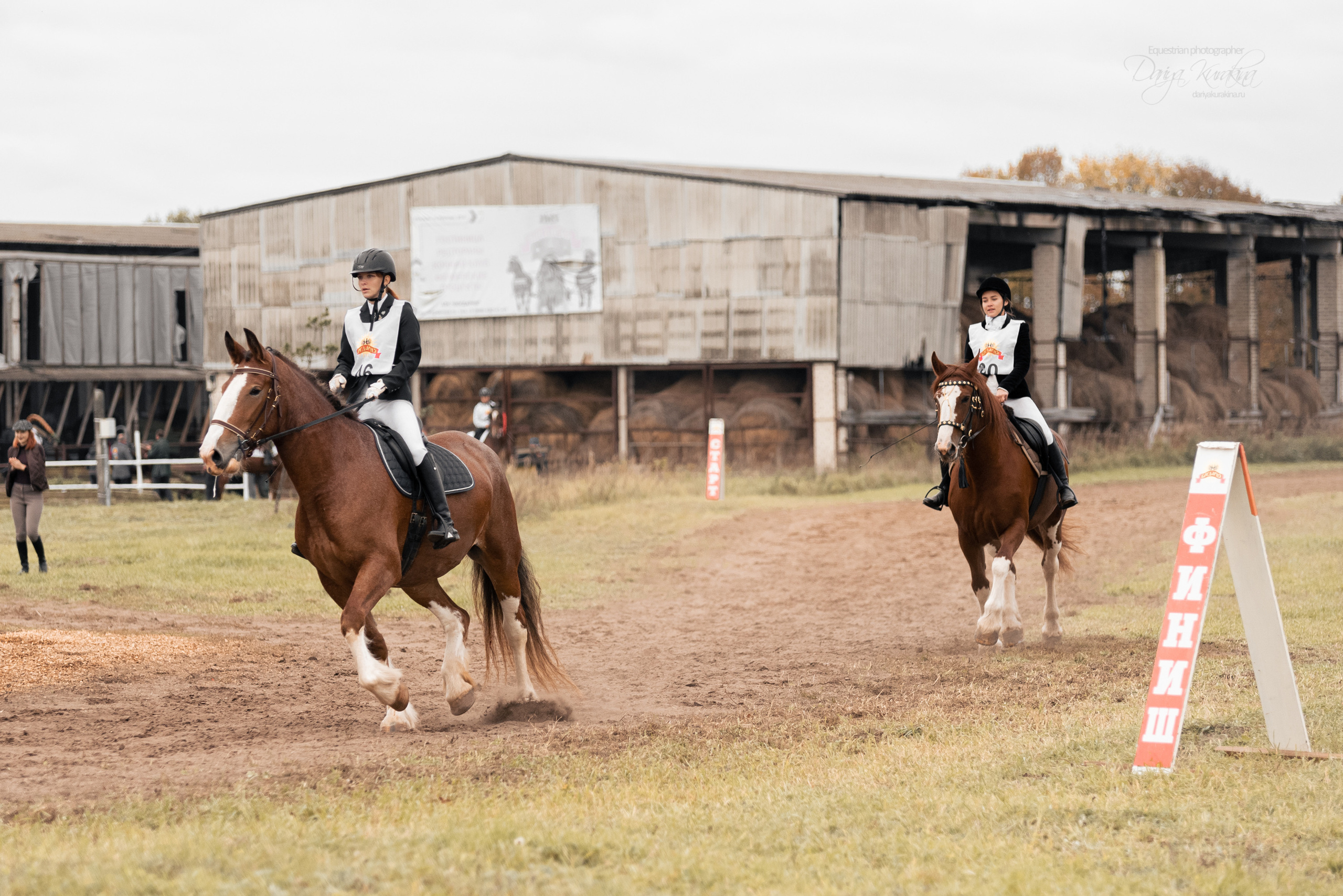 Богдарня. Конный фотограф Куракина Дарья • Фотосессии с лошадьми