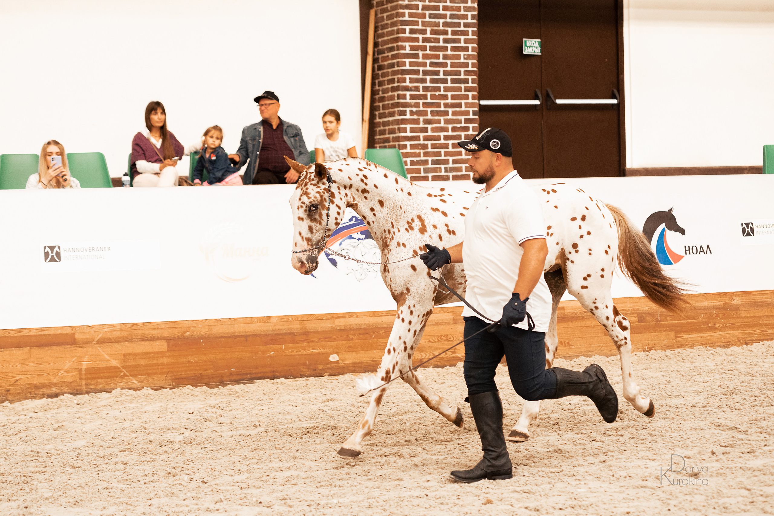 Конная Россия 2021. Конный фотограф Куракина Дарья • Фотосессии с лошадьми