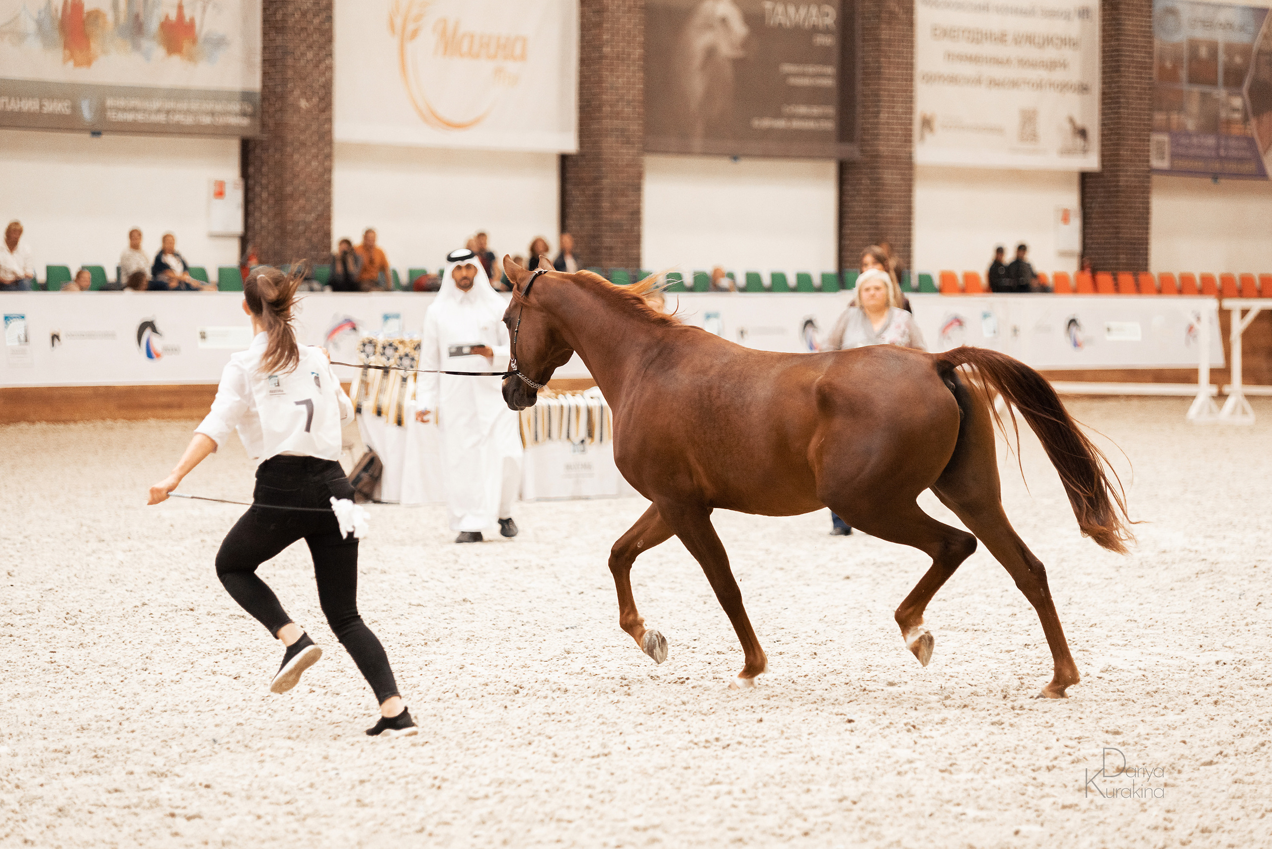 Конная Россия 2021. Конный фотограф Куракина Дарья • Фотосессии с лошадьми
