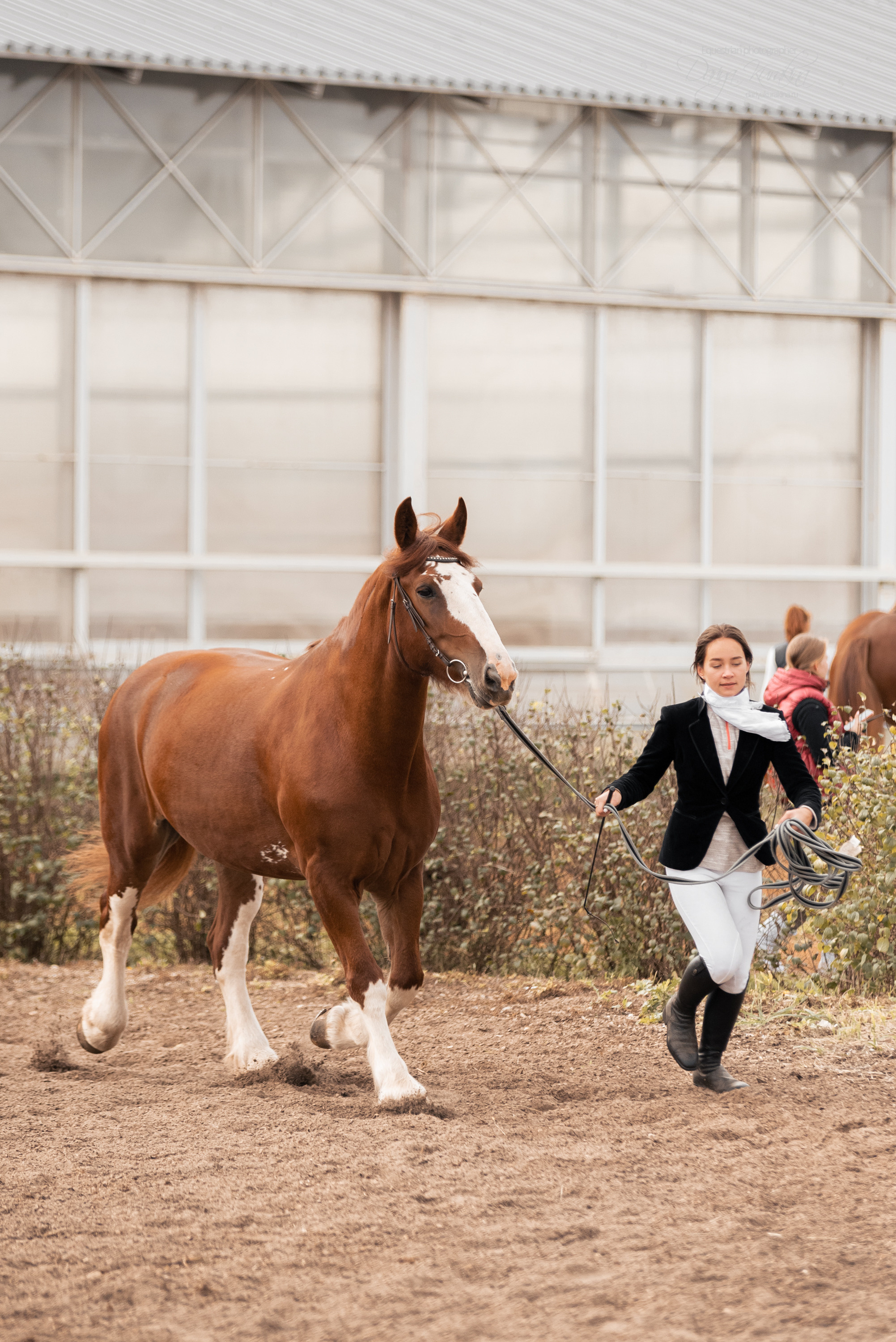 Богдарня. Конный фотограф Куракина Дарья • Фотосессии с лошадьми