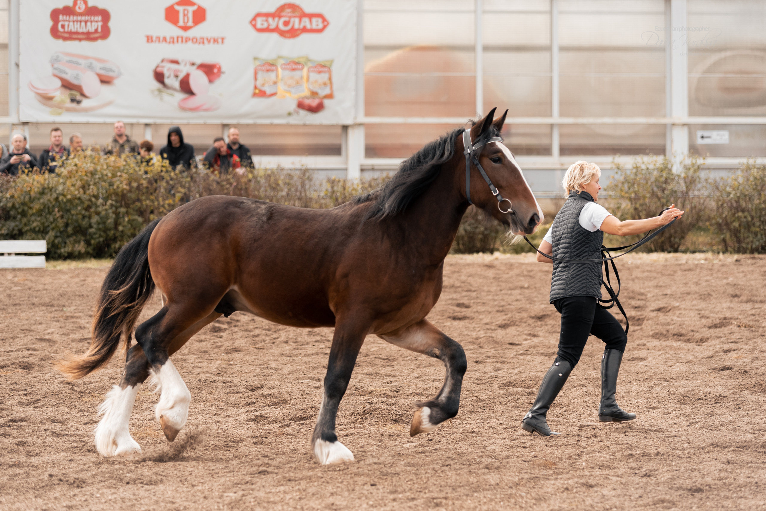 Богдарня. Конный фотограф Куракина Дарья • Фотосессии с лошадьми
