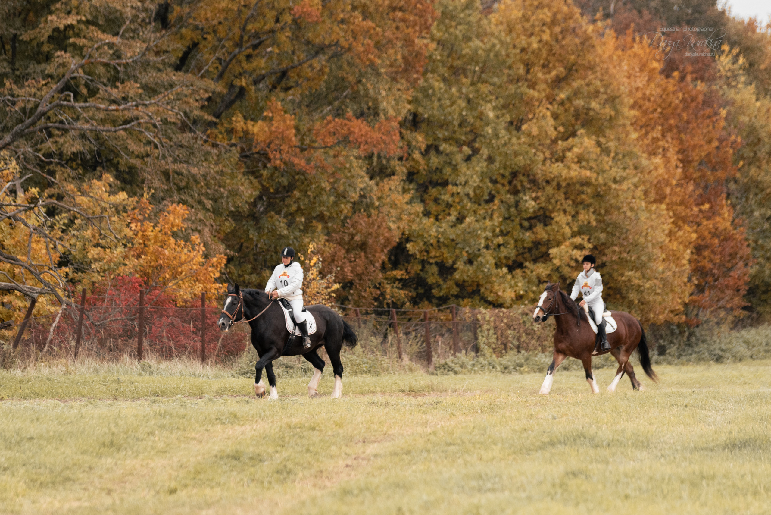 Богдарня. Конный фотограф Куракина Дарья • Фотосессии с лошадьми