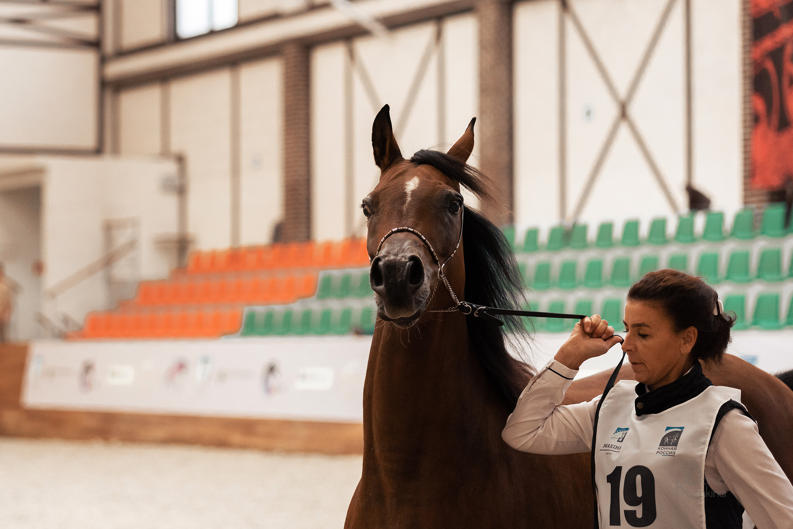 Конная Россия 2021. Конный фотограф Куракина Дарья • Фотосессии с лошадьми