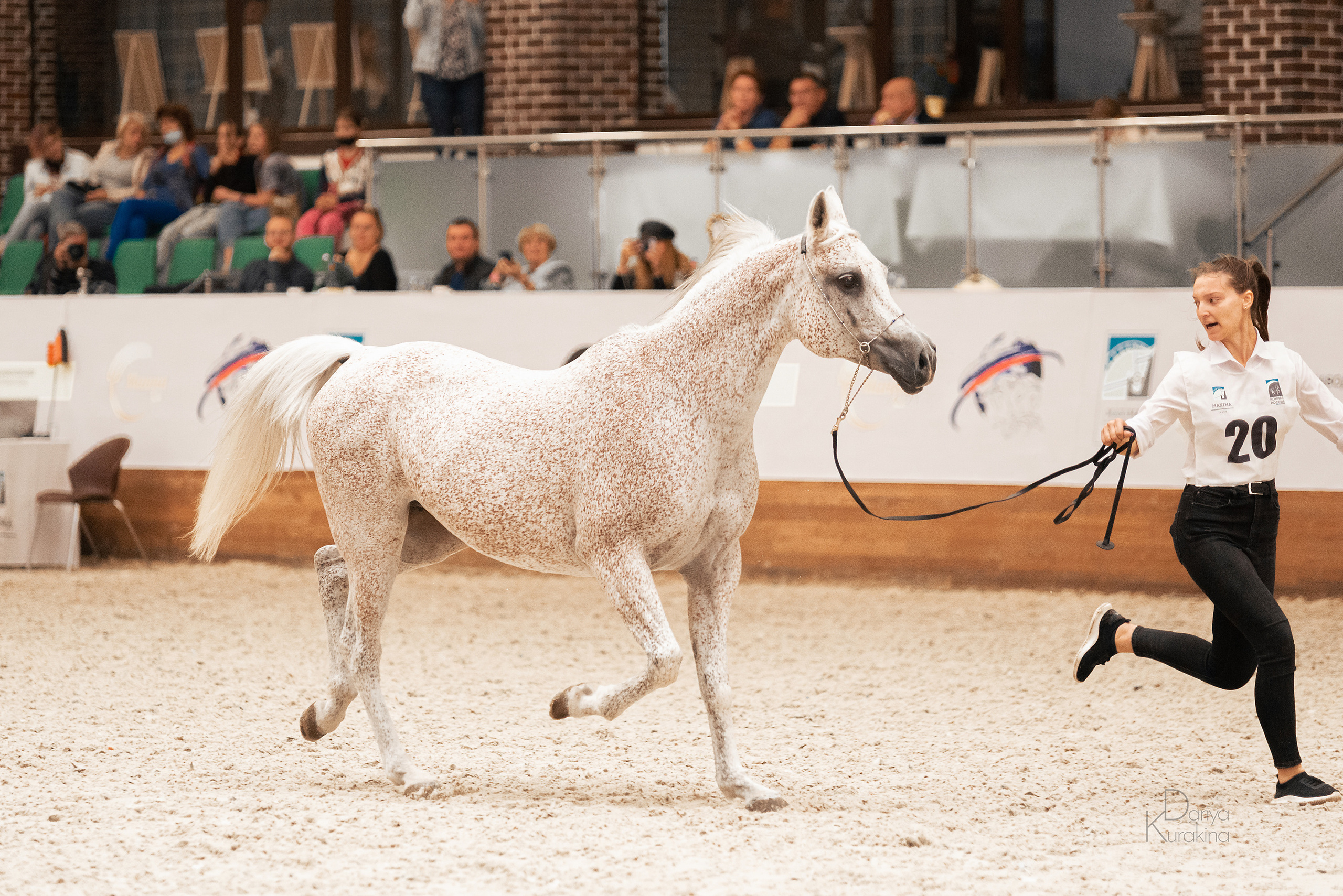 Конная Россия 2021. Конный фотограф Куракина Дарья • Фотосессии с лошадьми