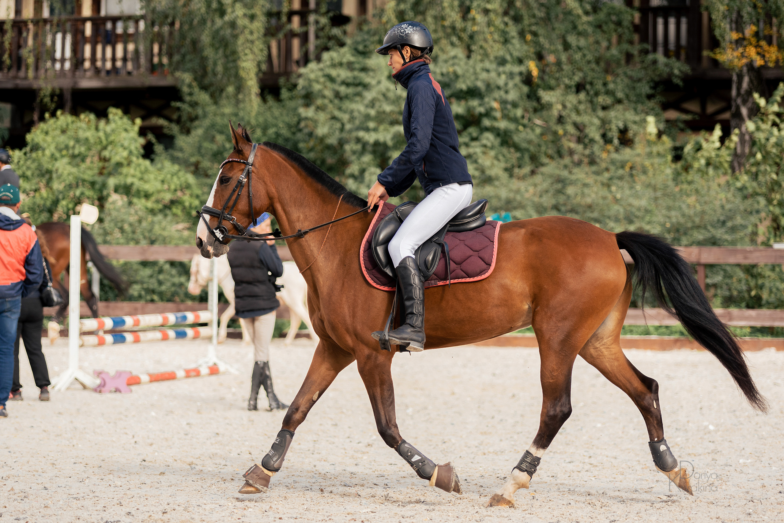 КСК Белая Дача, конкур. Конный фотограф Куракина Дарья • Фотосессии с лошадьми