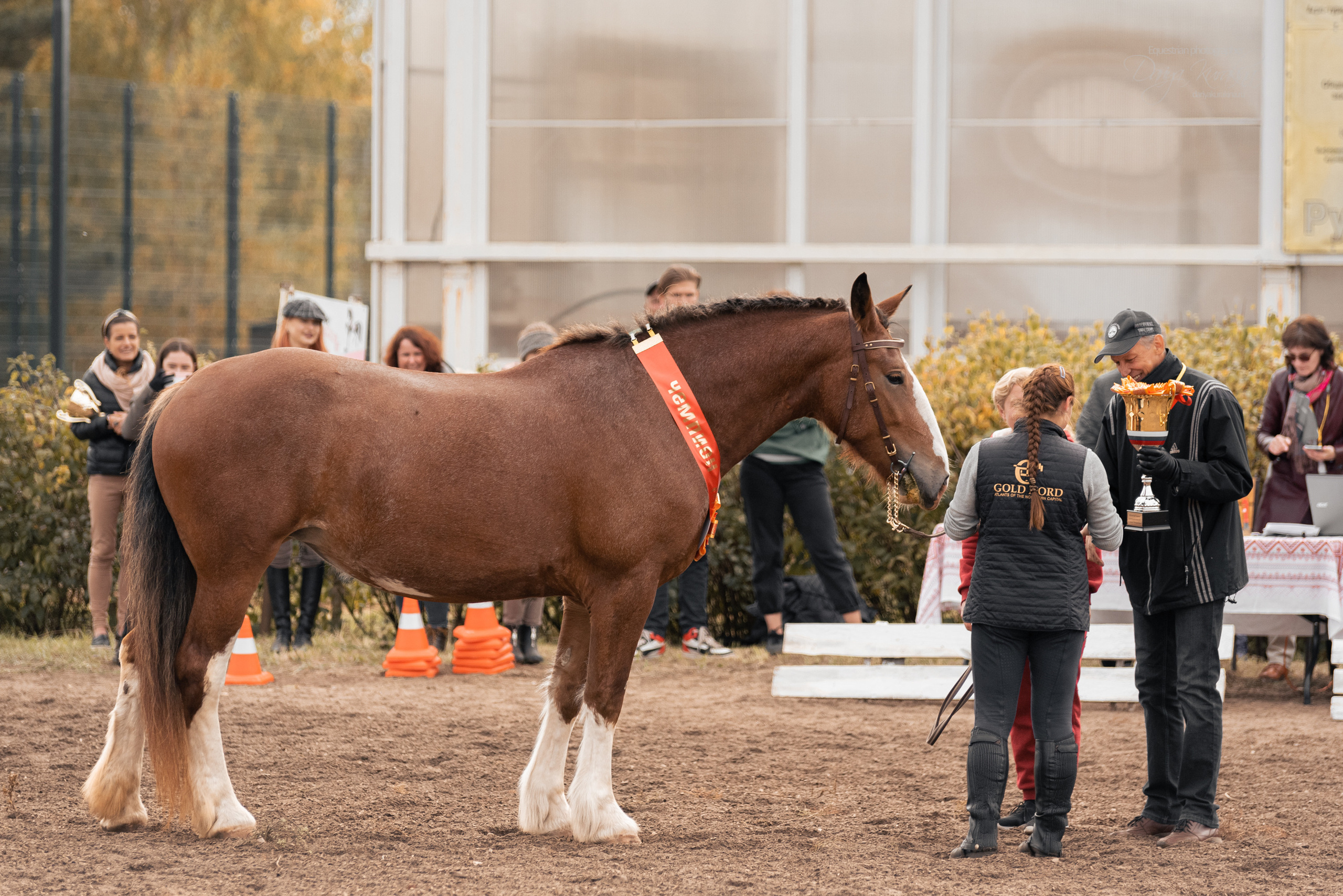 Богдарня. Конный фотограф Куракина Дарья • Фотосессии с лошадьми