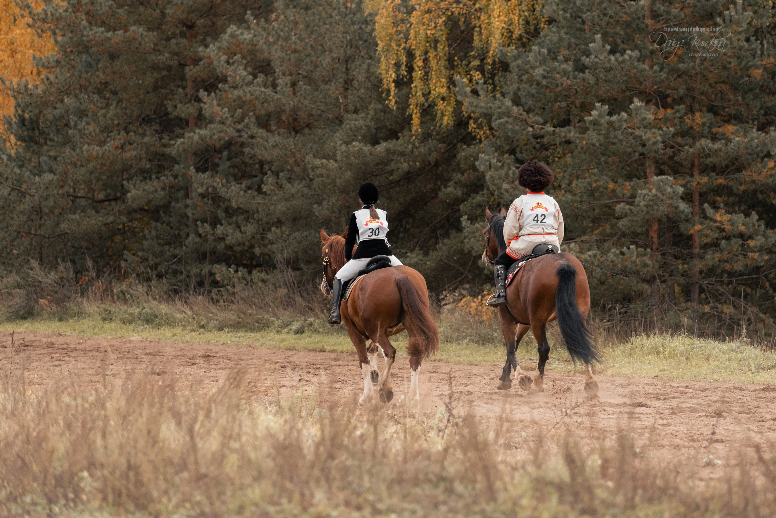 Богдарня. Конный фотограф Куракина Дарья • Фотосессии с лошадьми