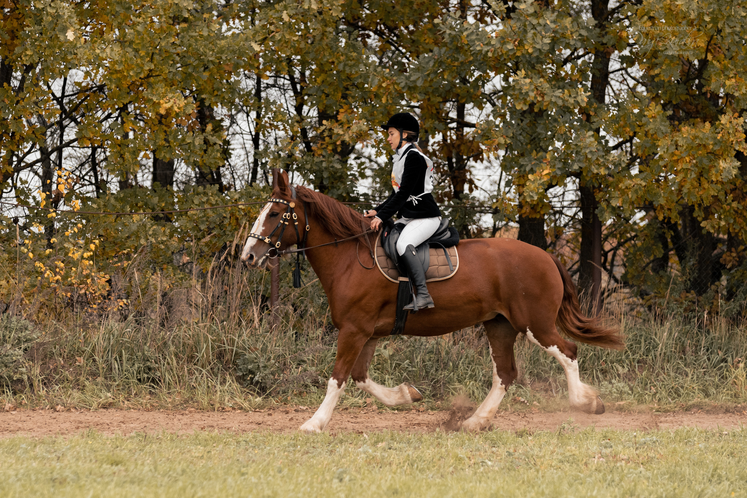 Богдарня. Конный фотограф Куракина Дарья • Фотосессии с лошадьми