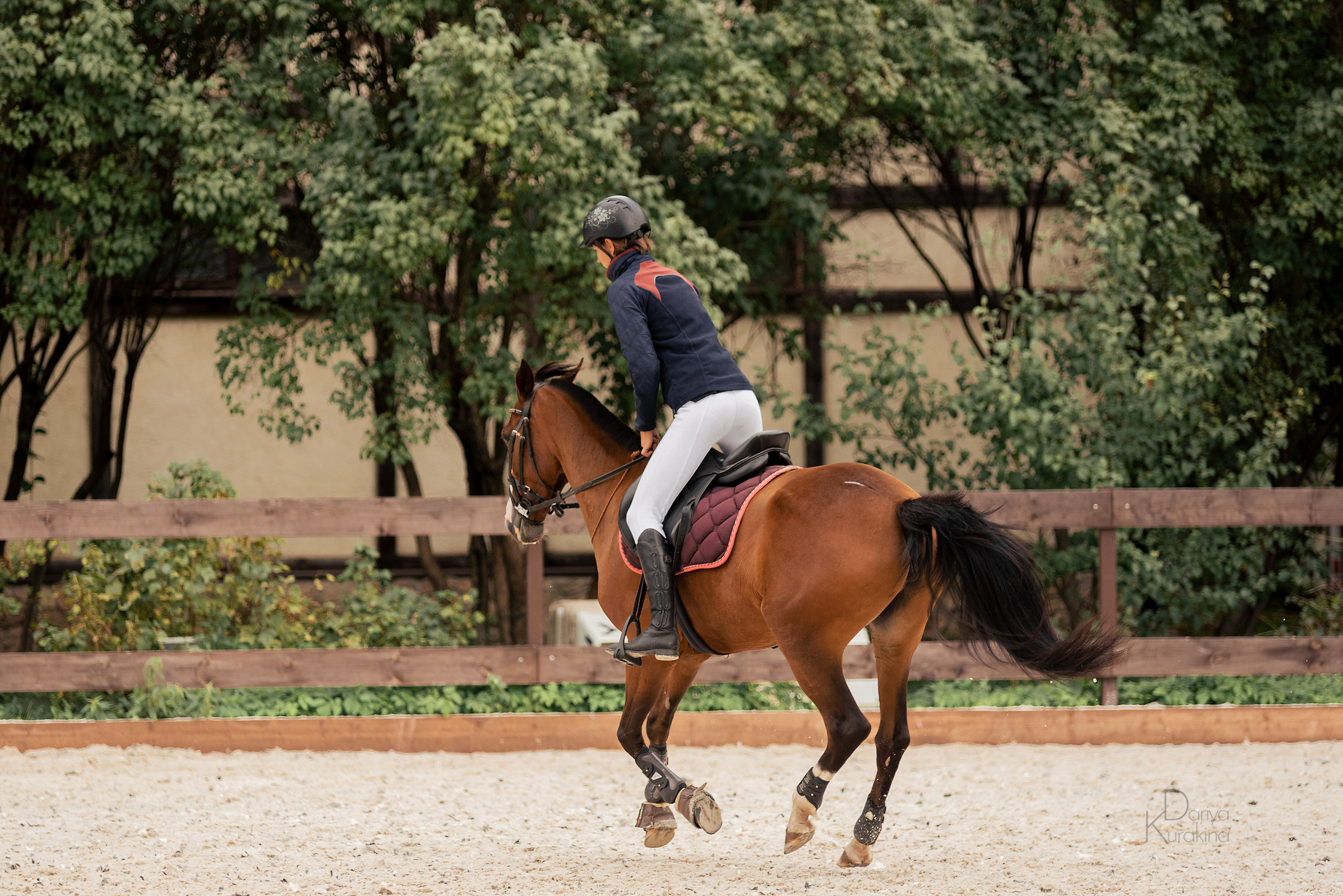 КСК Белая Дача, конкур. Конный фотограф Куракина Дарья • Фотосессии с лошадьми