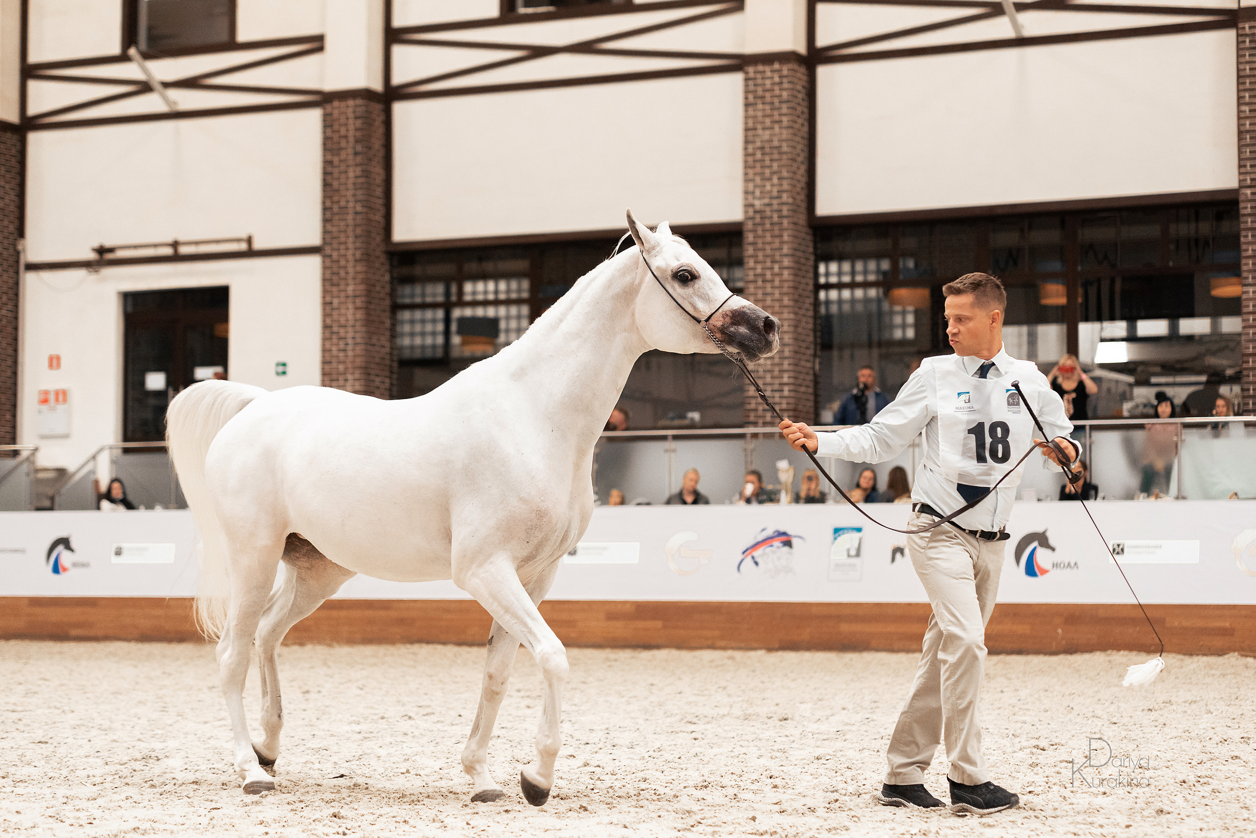Конная Россия 2021. Конный фотограф Куракина Дарья • Фотосессии с лошадьми