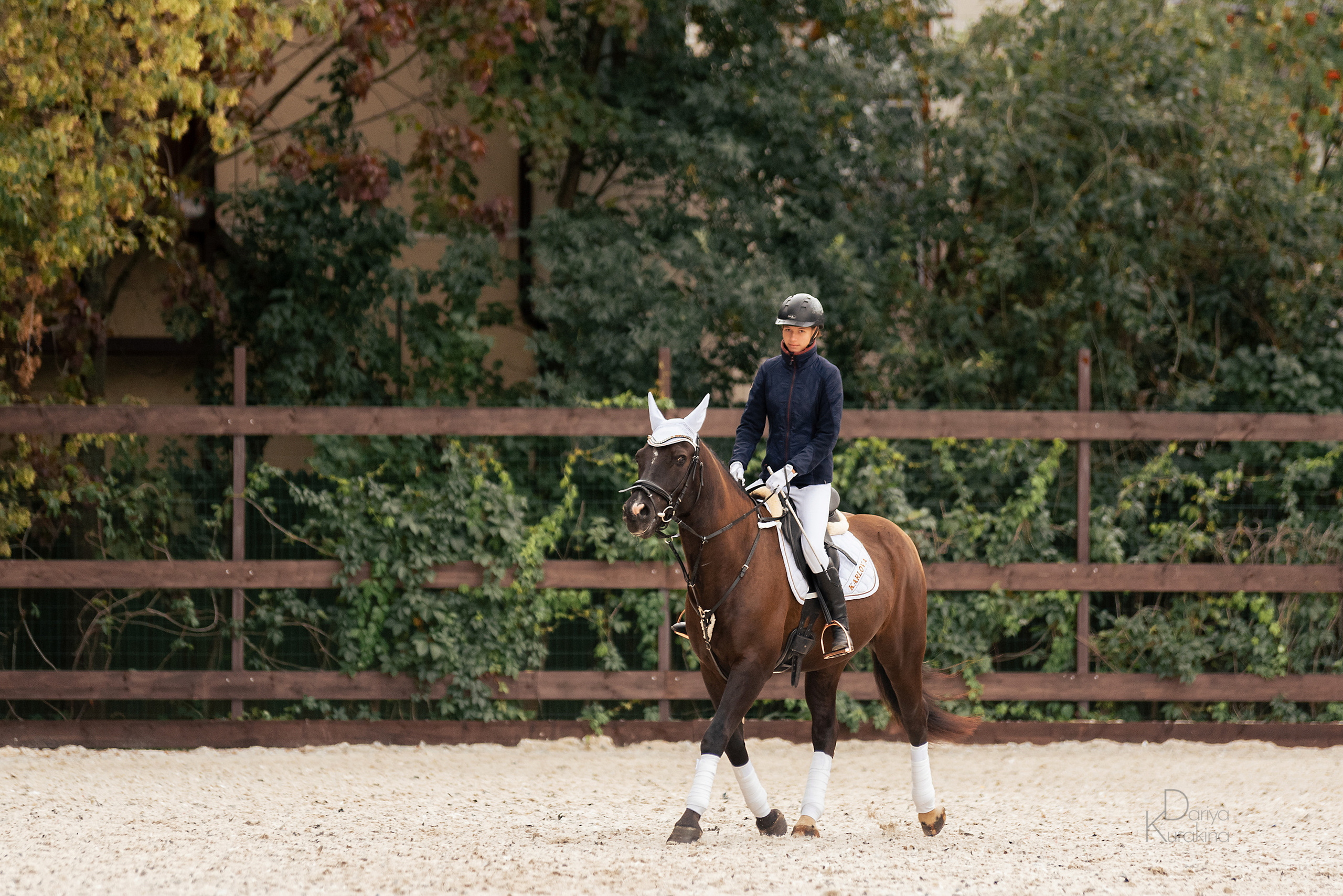КСК Белая Дача, конкур. Конный фотограф Куракина Дарья • Фотосессии с лошадьми