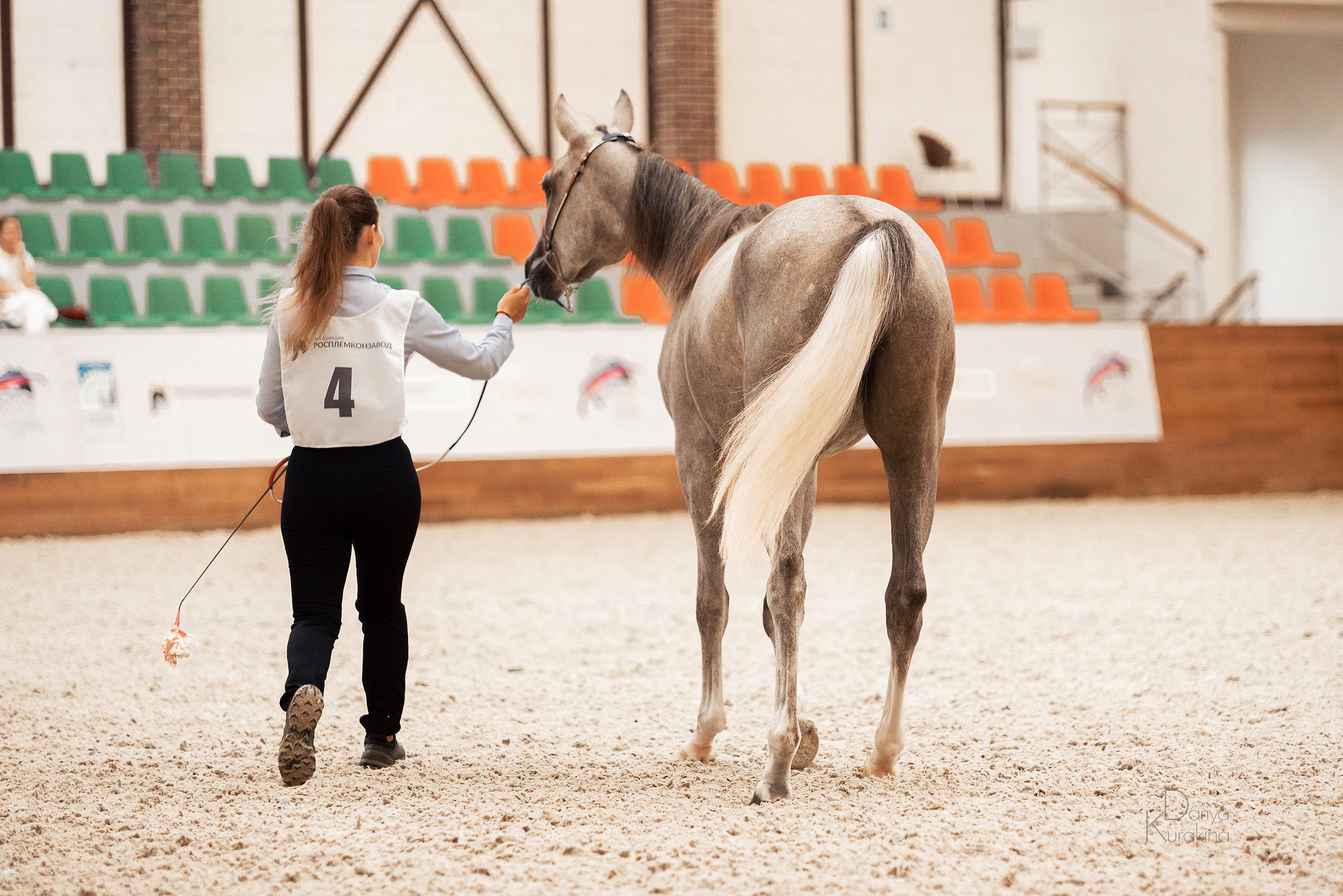 Конная Россия 2021. Конный фотограф Куракина Дарья • Фотосессии с лошадьми