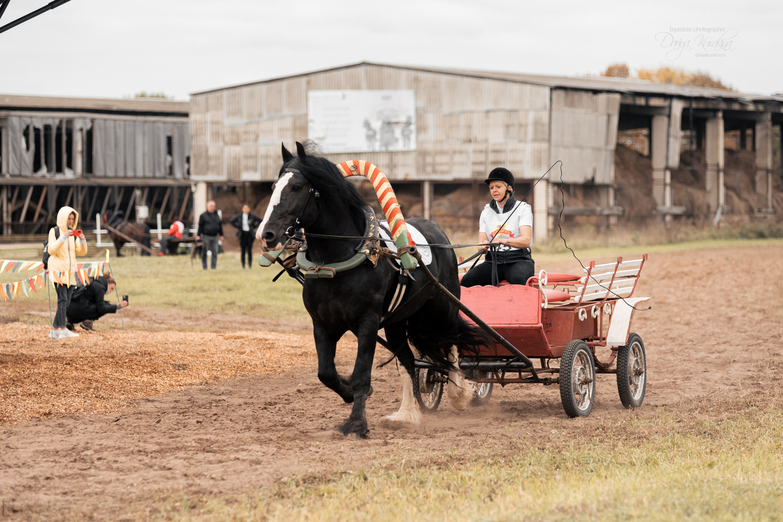Богдарня. Конный фотограф Куракина Дарья • Фотосессии с лошадьми