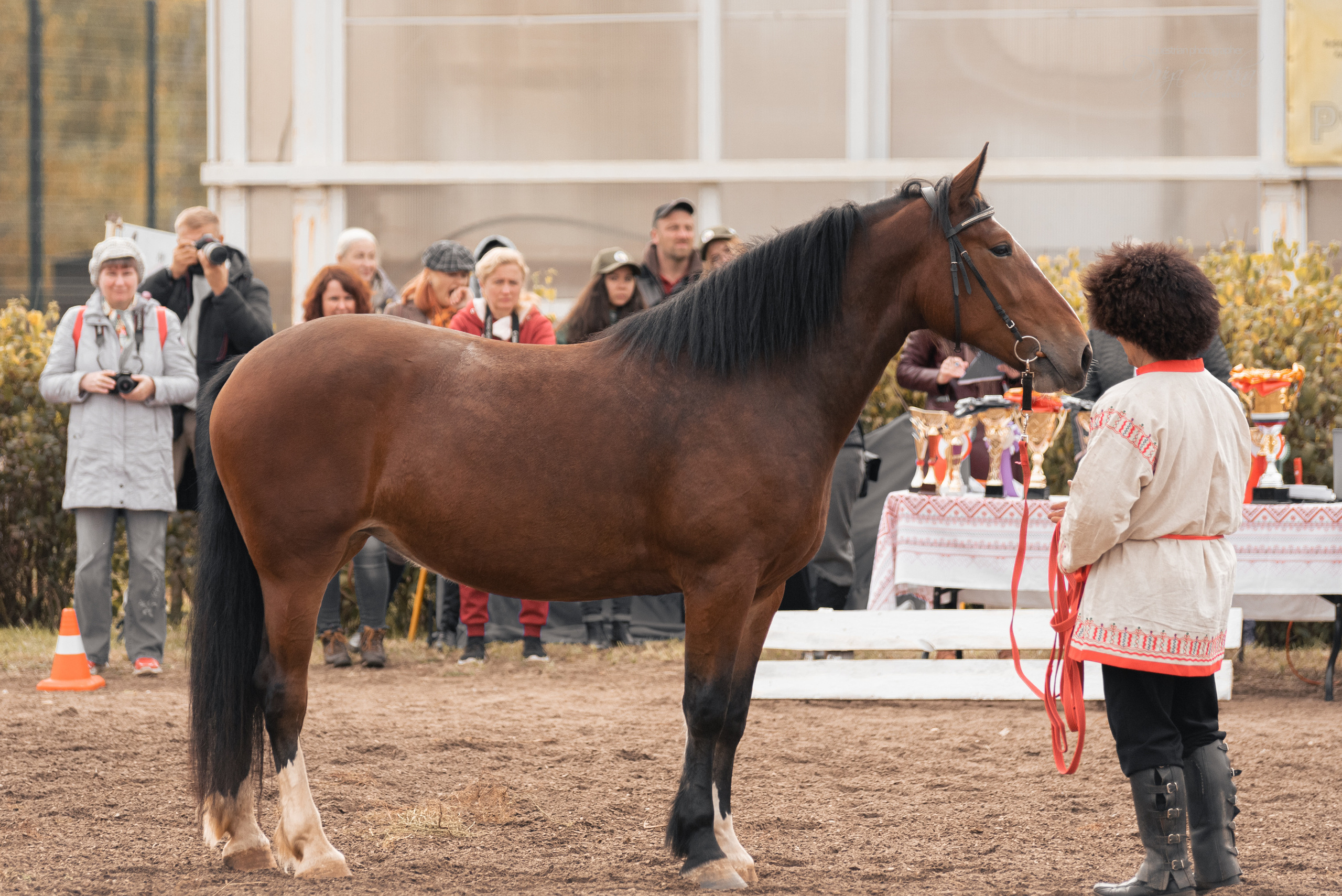 Богдарня. Конный фотограф Куракина Дарья • Фотосессии с лошадьми
