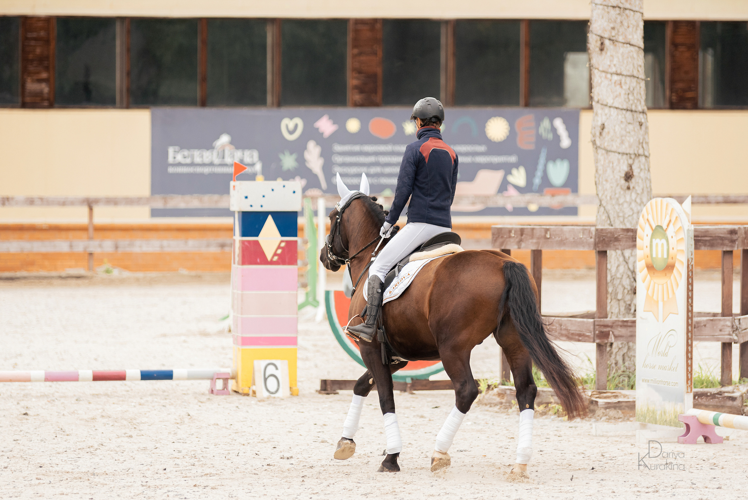 КСК Белая Дача, конкур. Конный фотограф Куракина Дарья • Фотосессии с лошадьми