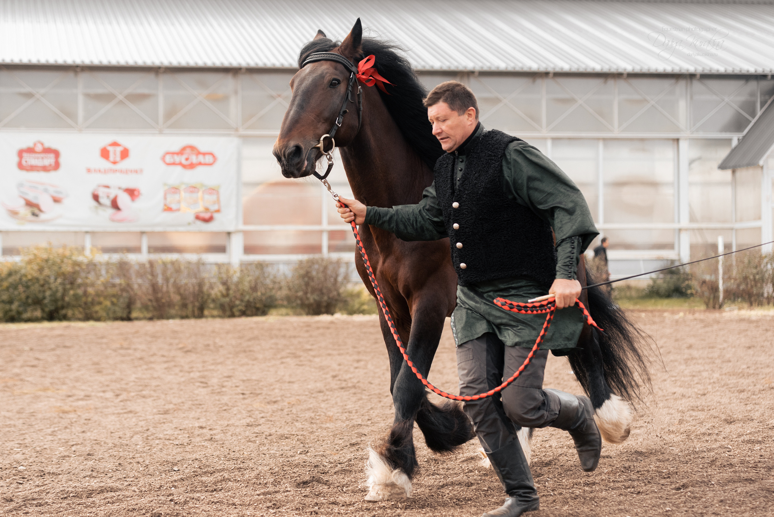 Богдарня. Конный фотограф Куракина Дарья • Фотосессии с лошадьми