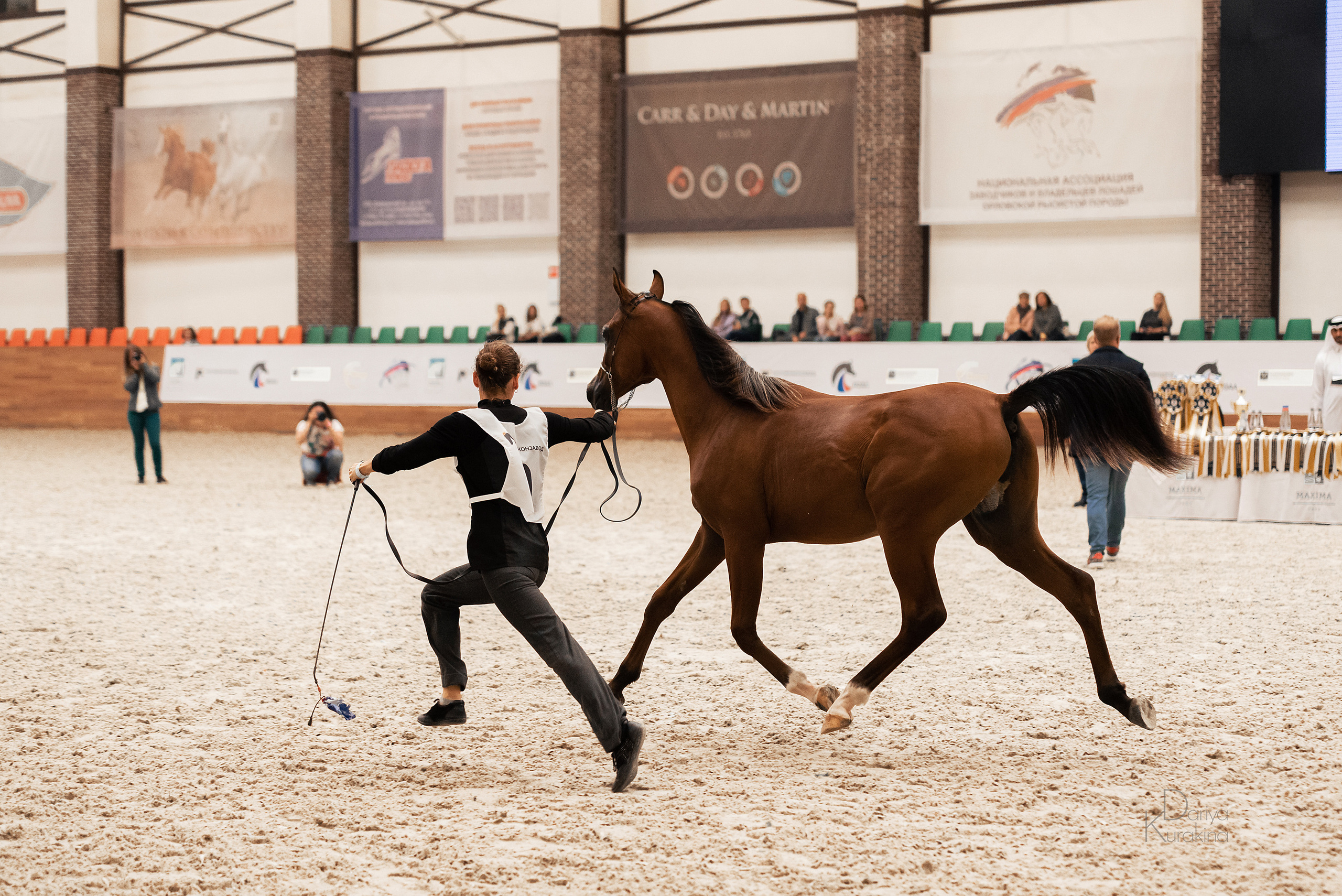 Конная Россия 2021. Конный фотограф Куракина Дарья • Фотосессии с лошадьми