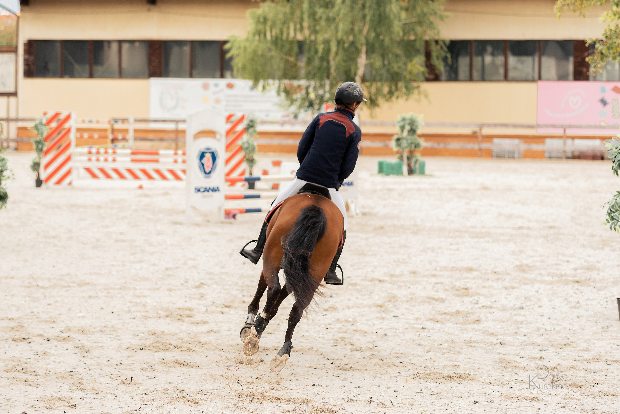 КСК Белая Дача, конкур. Конный фотограф Куракина Дарья • Фотосессии с лошадьми