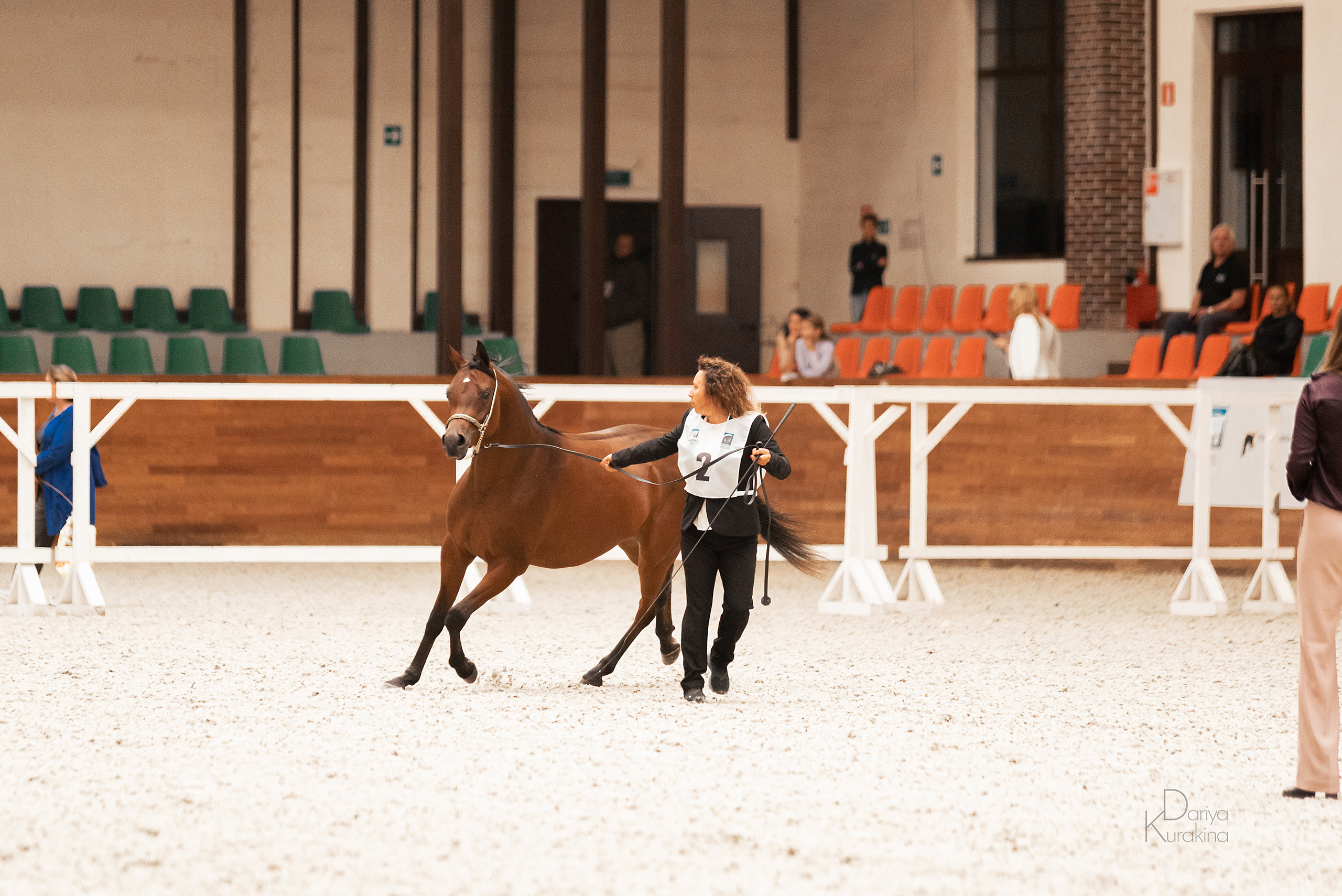 Конная Россия 2021. Конный фотограф Куракина Дарья • Фотосессии с лошадьми