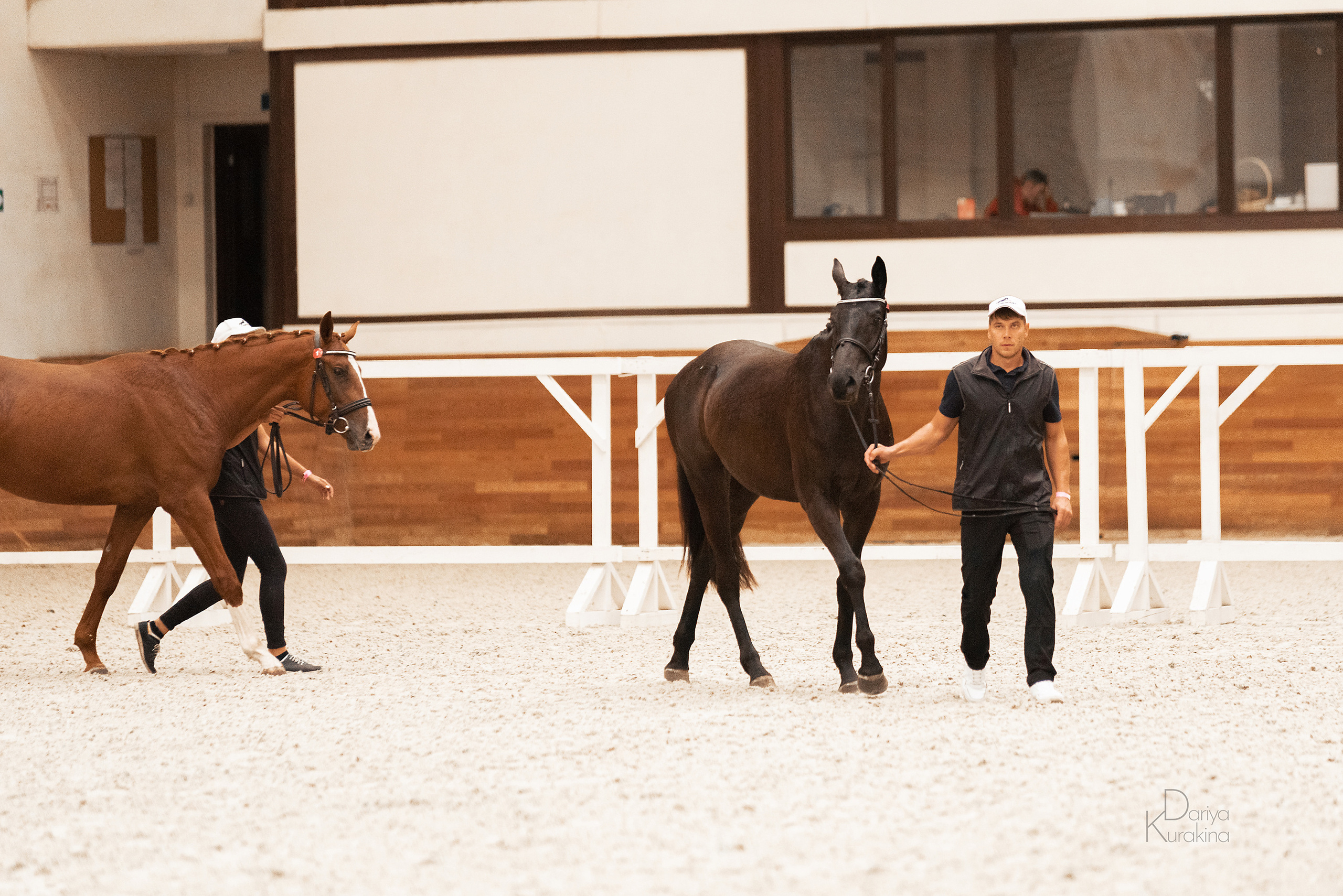 Конная Россия 2021. Конный фотограф Куракина Дарья • Фотосессии с лошадьми