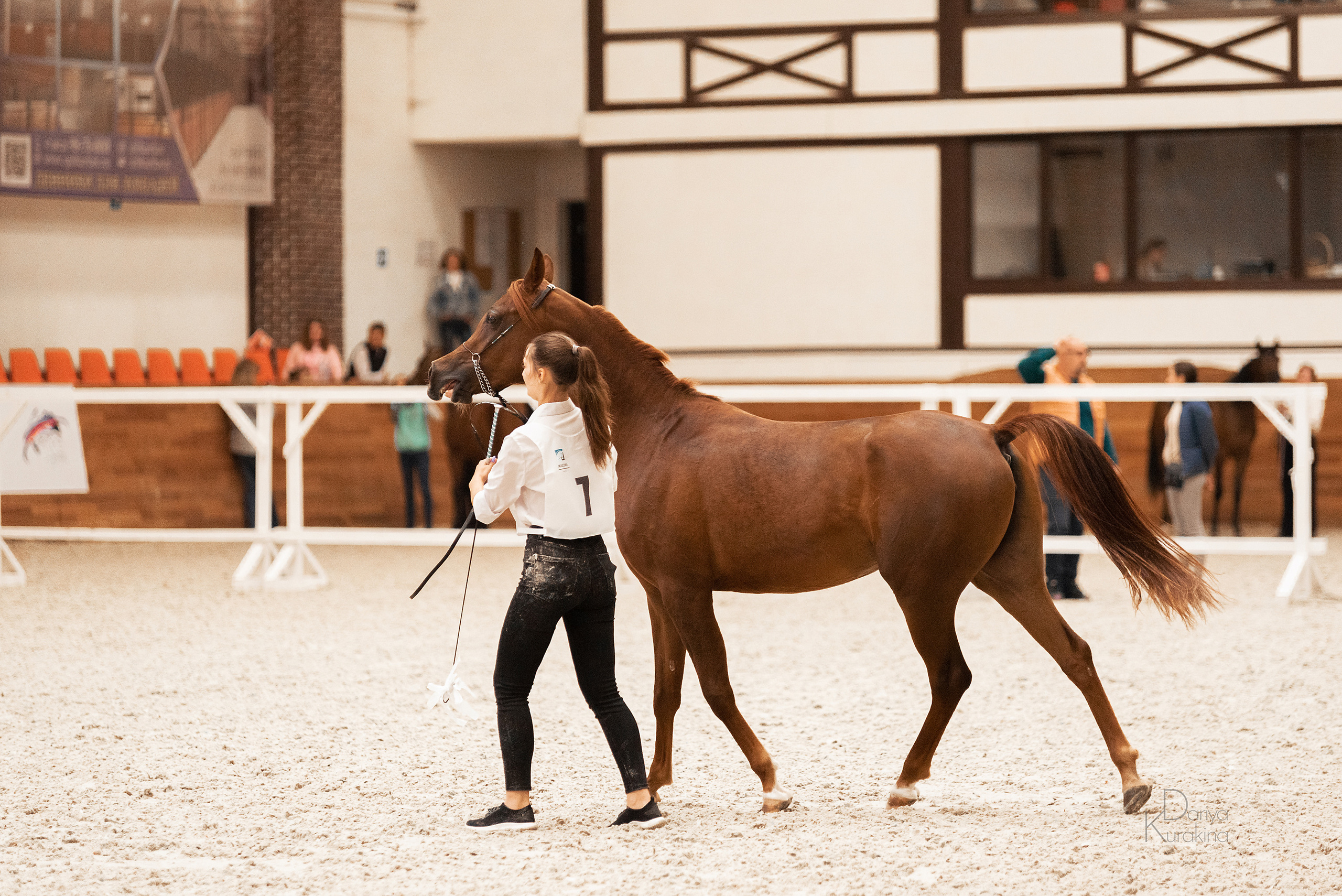 Конная Россия 2021. Конный фотограф Куракина Дарья • Фотосессии с лошадьми