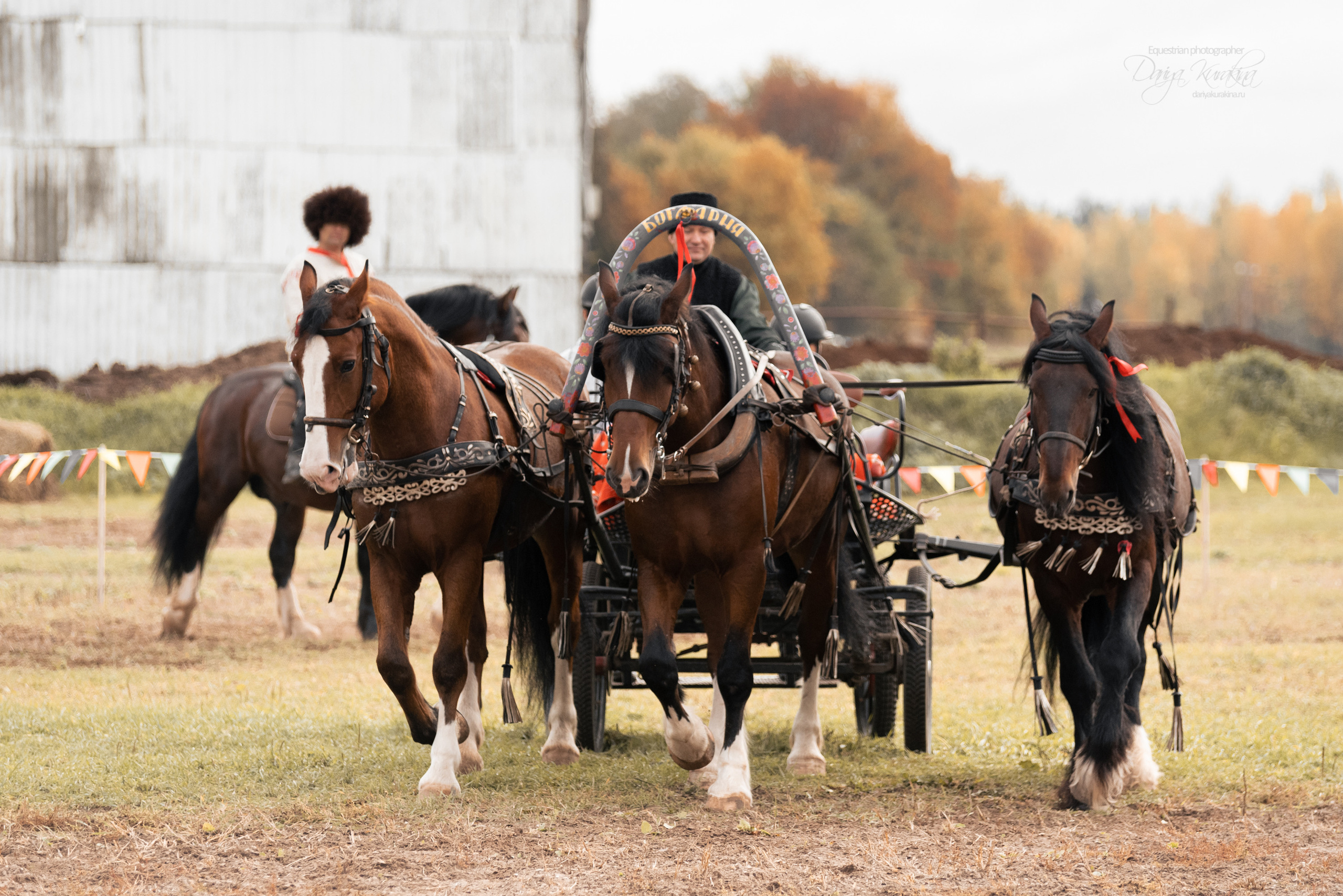 Богдарня. Конный фотограф Куракина Дарья • Фотосессии с лошадьми