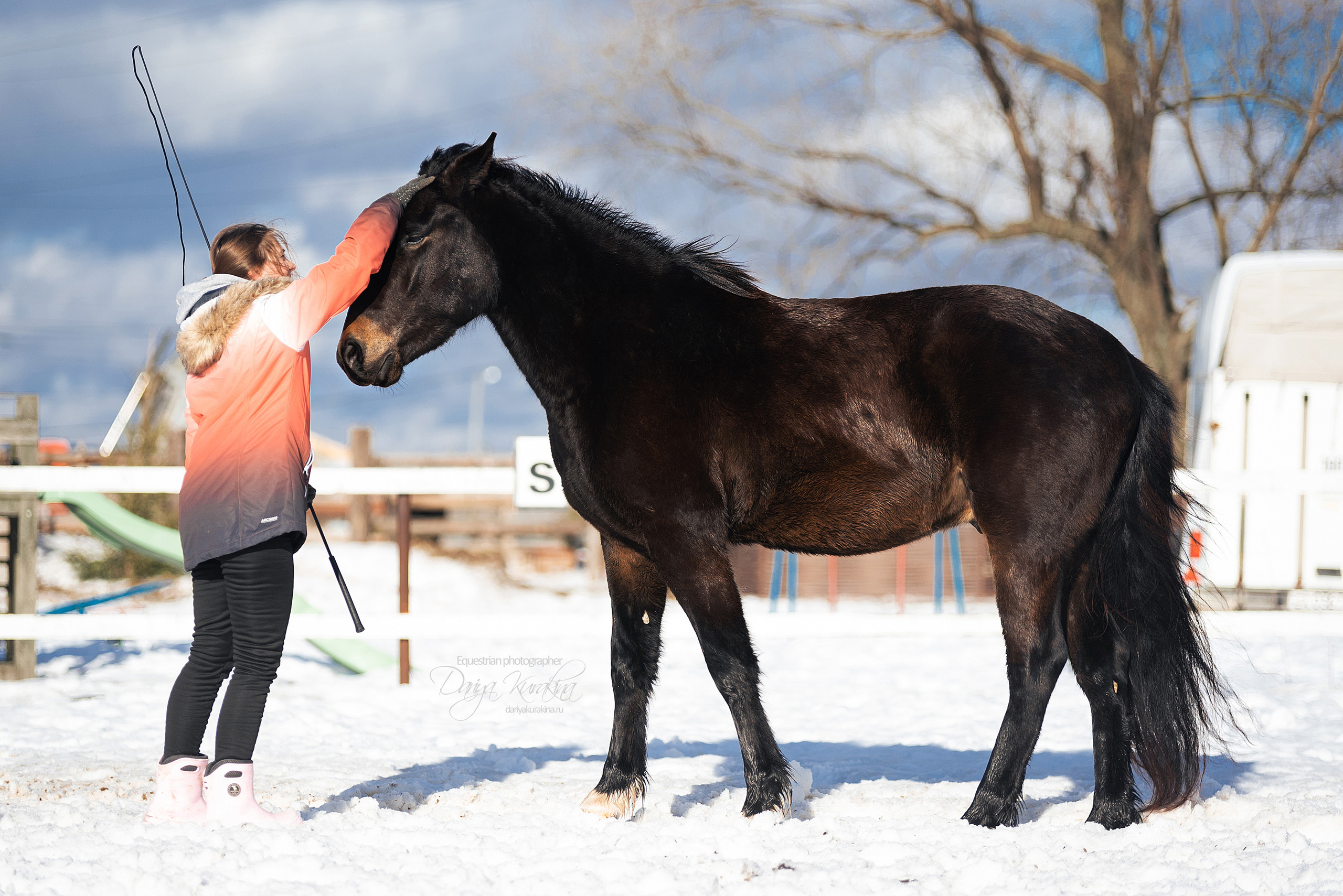 Кроули. Конный фотограф Куракина Дарья • Фотосессии с лошадьми