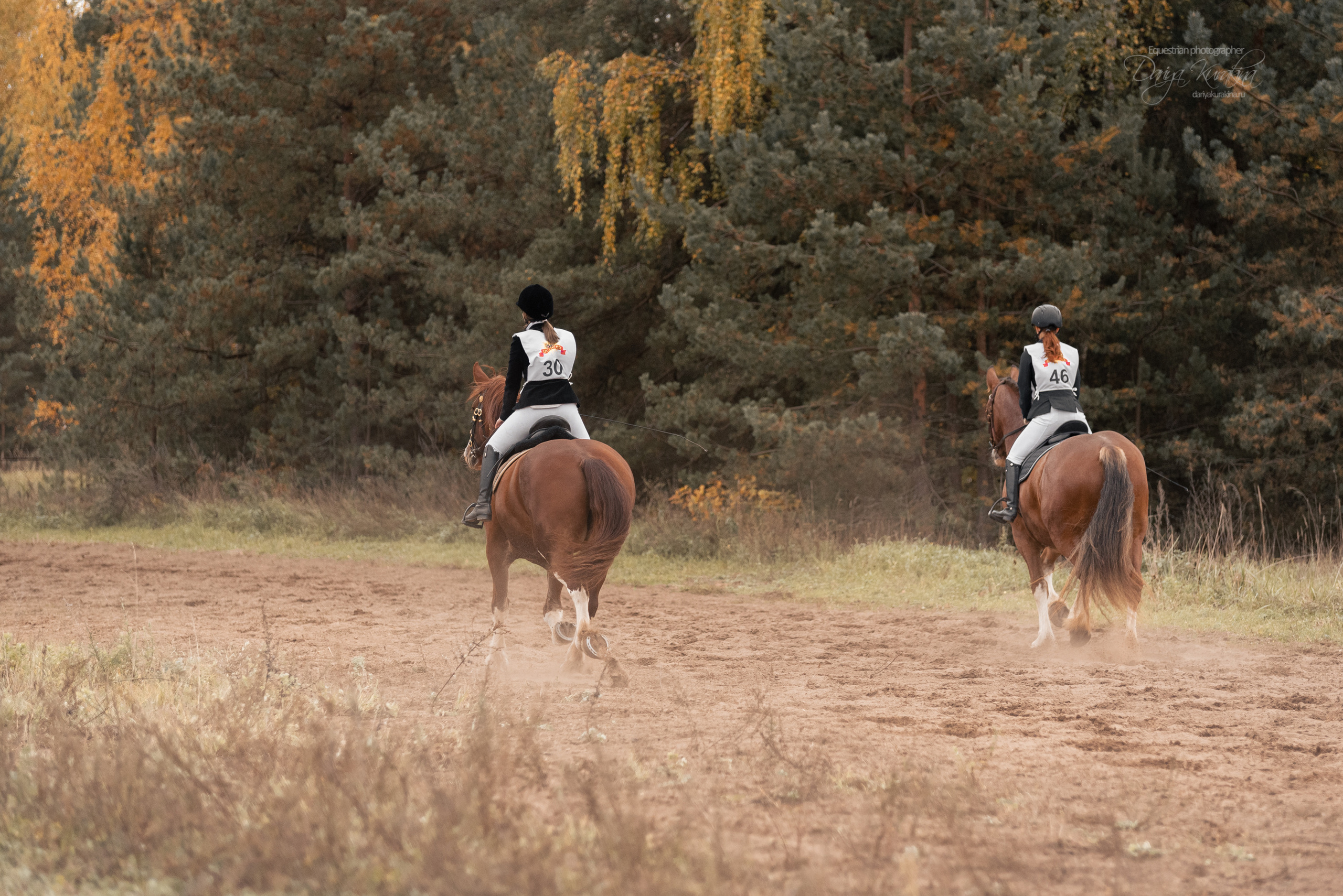 Богдарня. Конный фотограф Куракина Дарья • Фотосессии с лошадьми