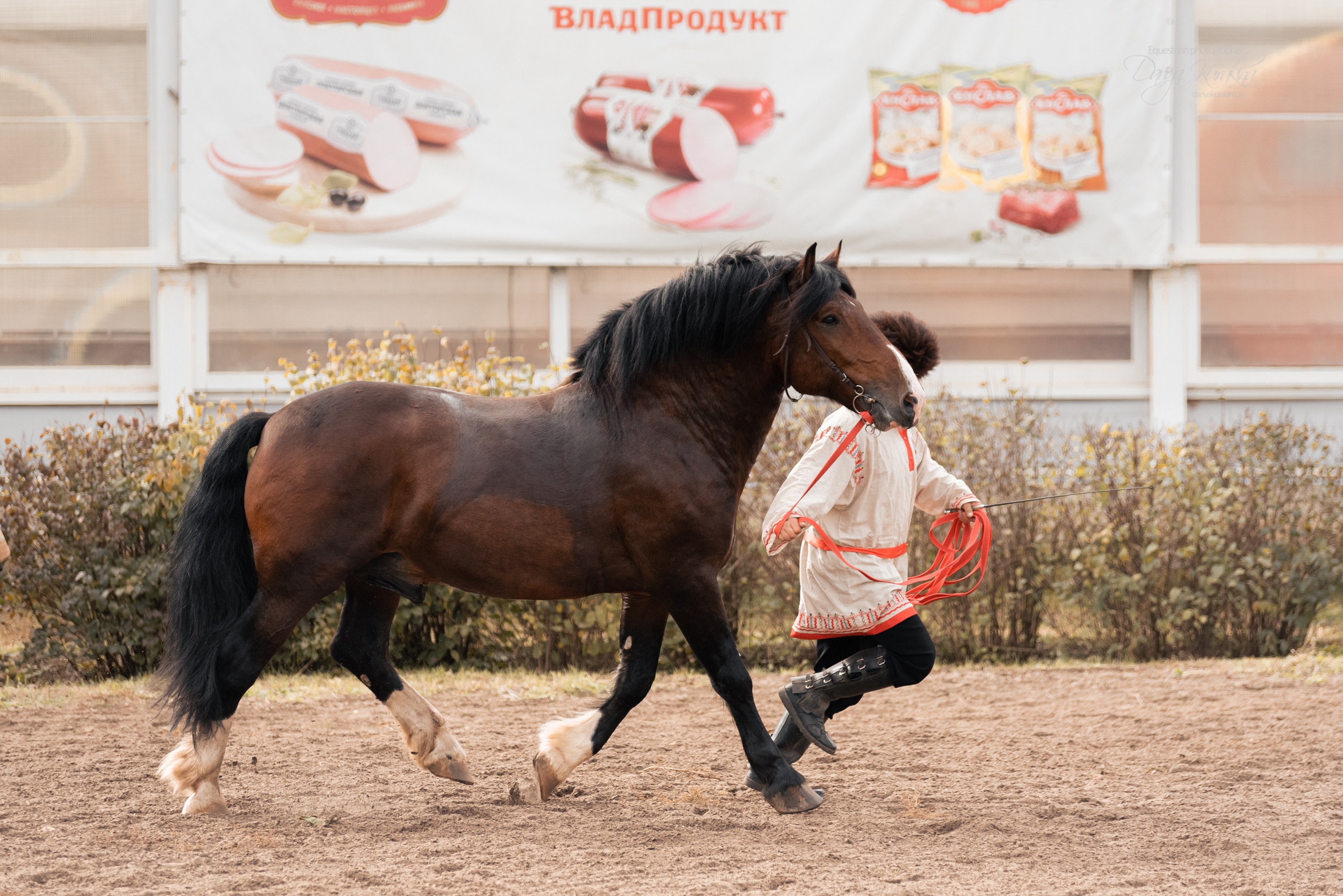 Богдарня. Конный фотограф Куракина Дарья • Фотосессии с лошадьми
