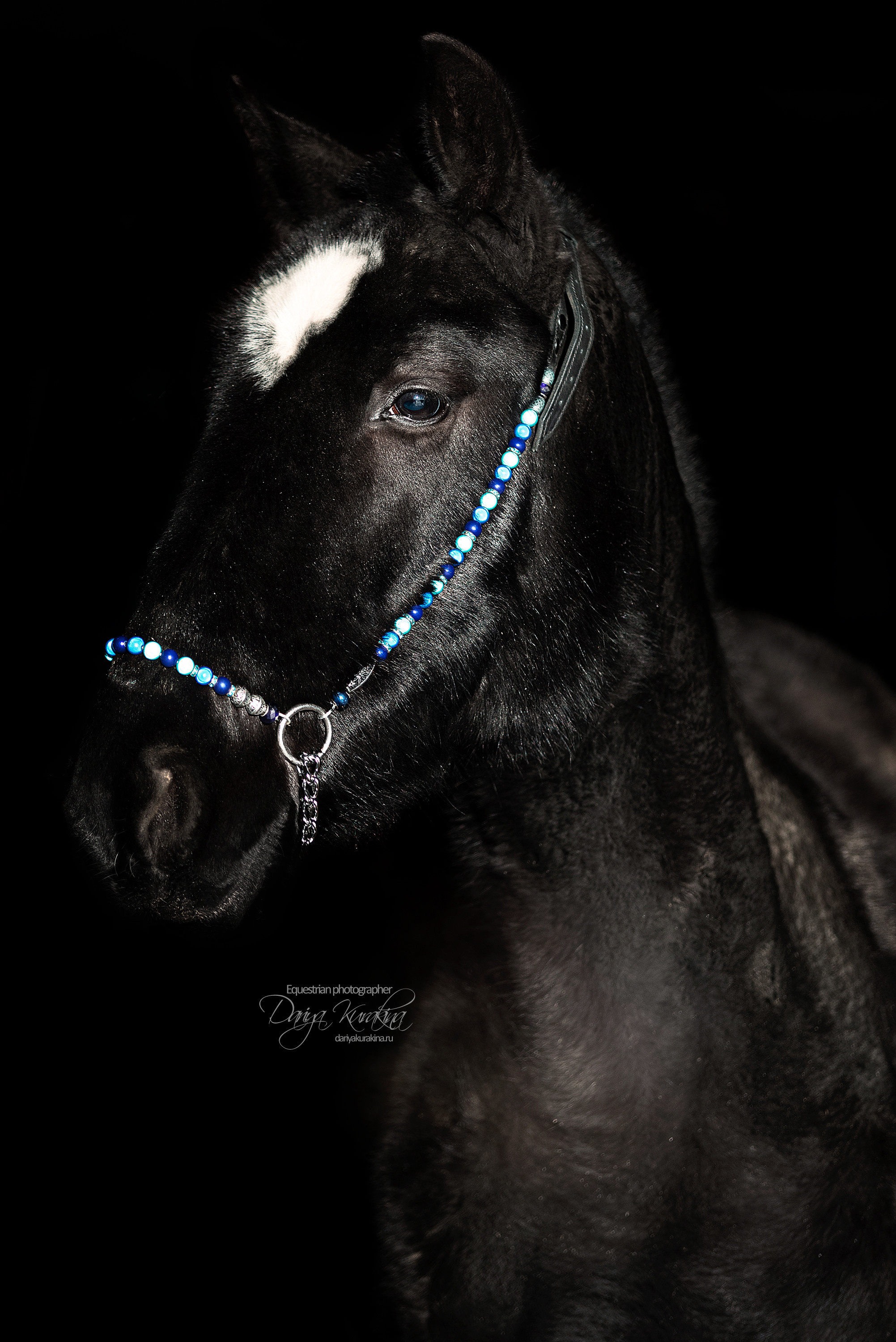 Сияние. Конный фотограф Куракина Дарья • Фотосессии с лошадьми