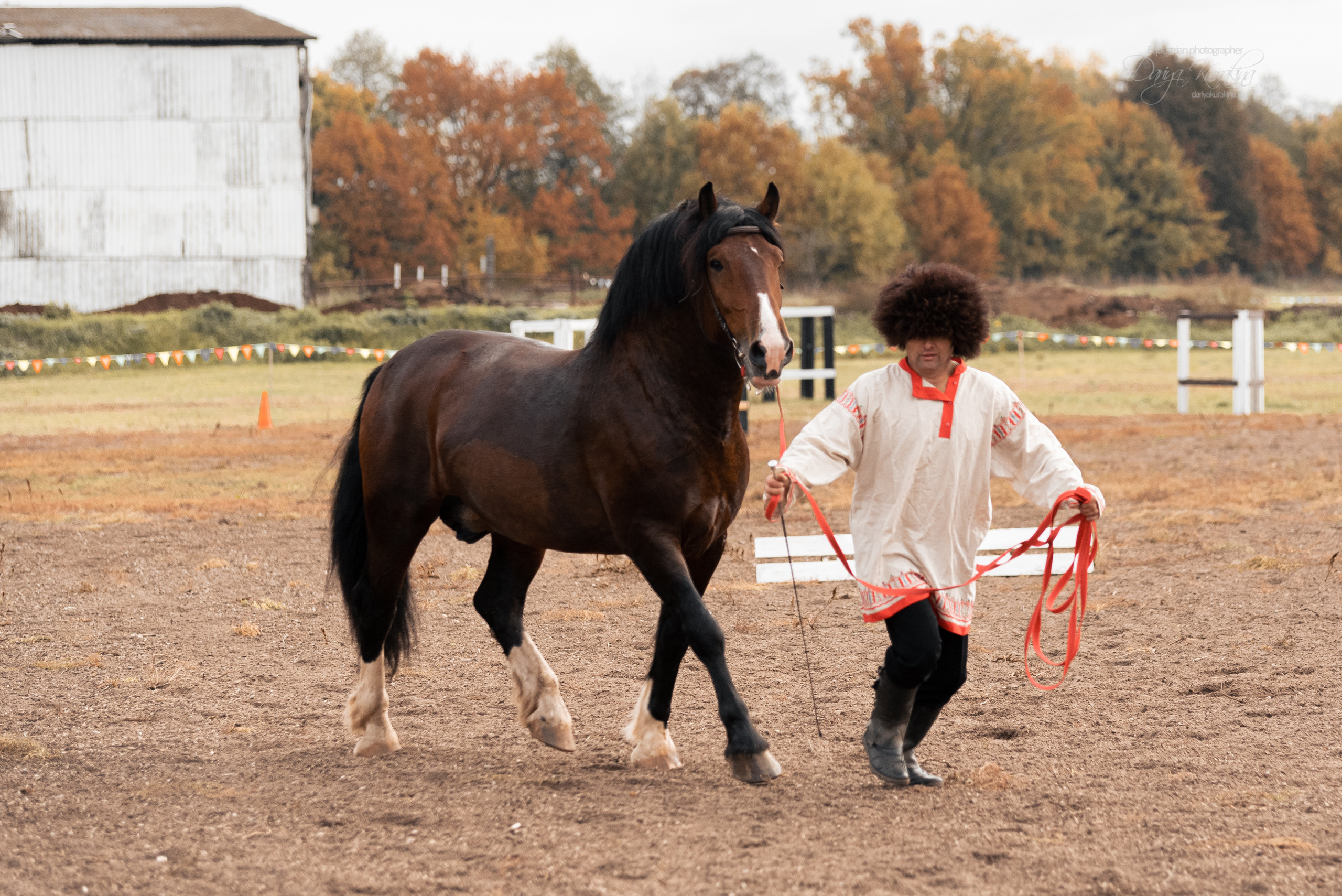 Богдарня. Конный фотограф Куракина Дарья • Фотосессии с лошадьми