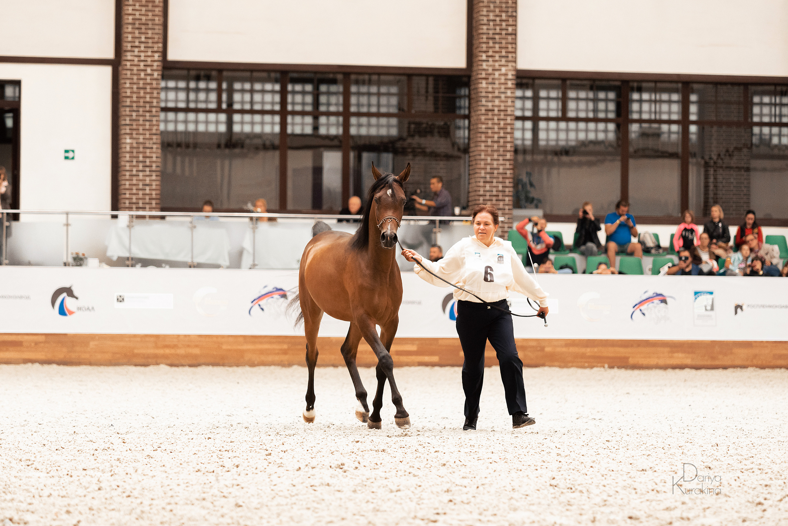 Конная Россия 2021. Конный фотограф Куракина Дарья • Фотосессии с лошадьми