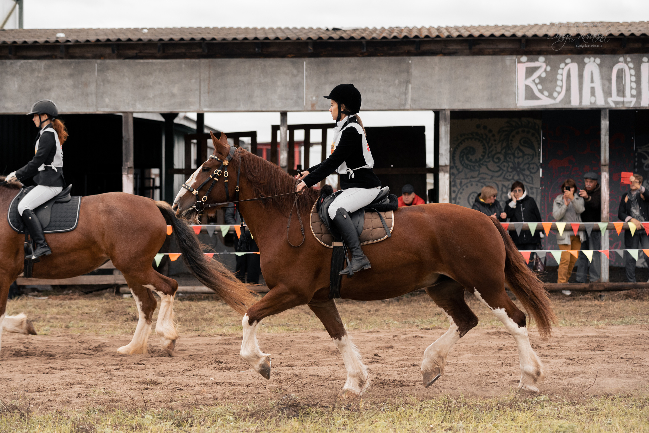 Богдарня. Конный фотограф Куракина Дарья • Фотосессии с лошадьми