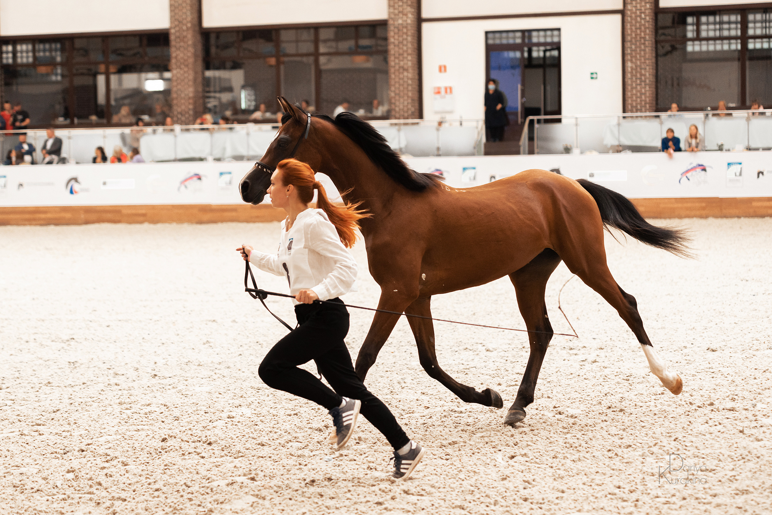 Конная Россия 2021. Конный фотограф Куракина Дарья • Фотосессии с лошадьми