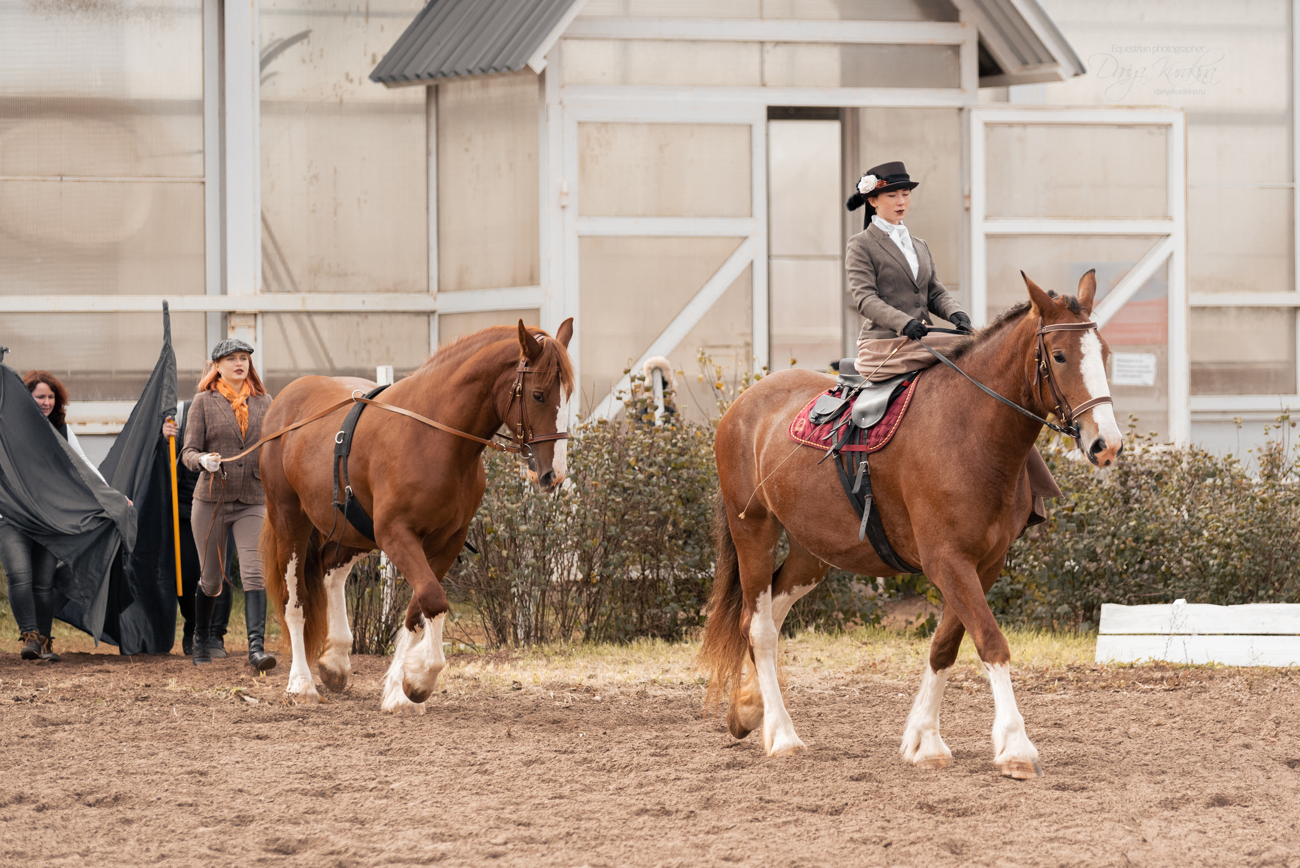 Богдарня. Конный фотограф Куракина Дарья • Фотосессии с лошадьми