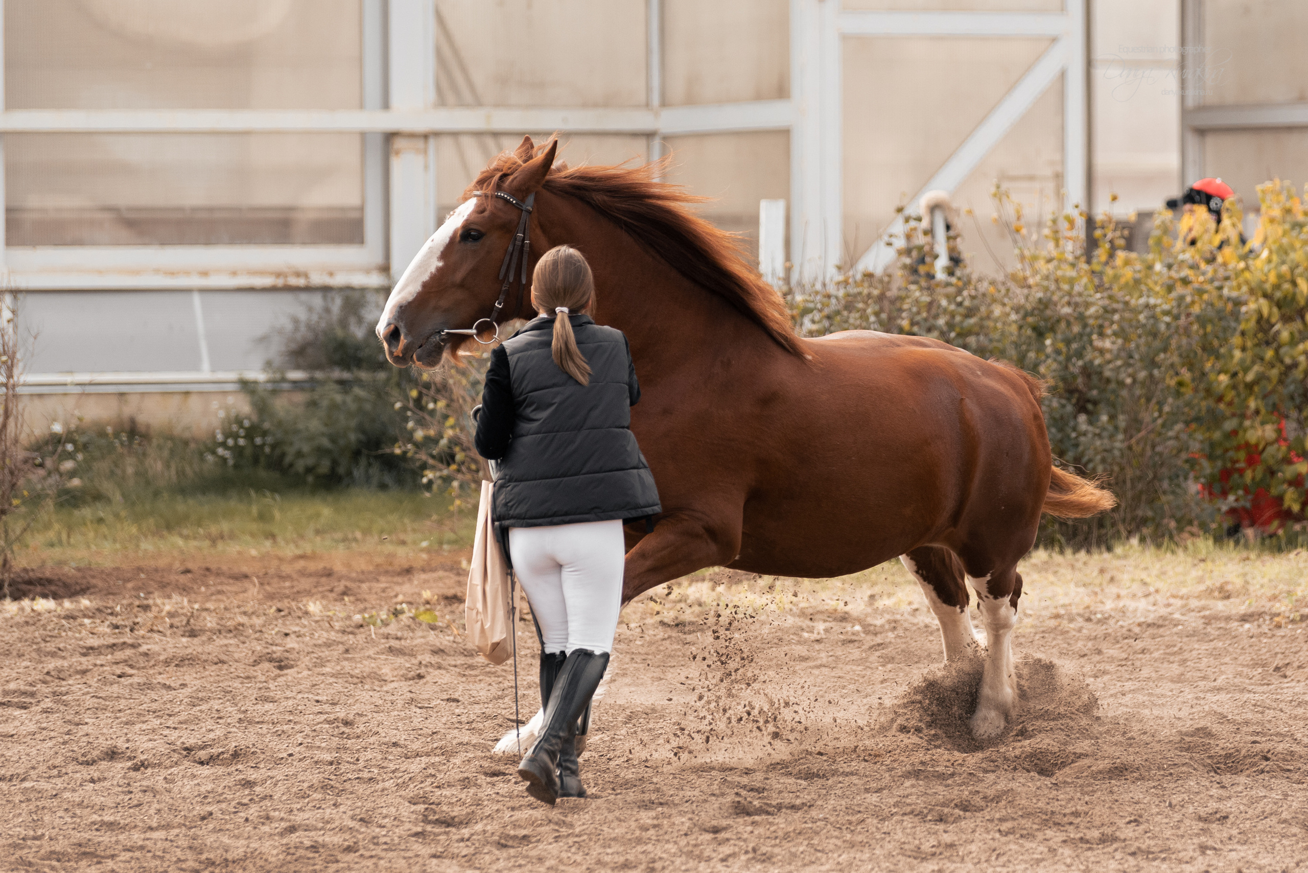 Богдарня. Конный фотограф Куракина Дарья • Фотосессии с лошадьми