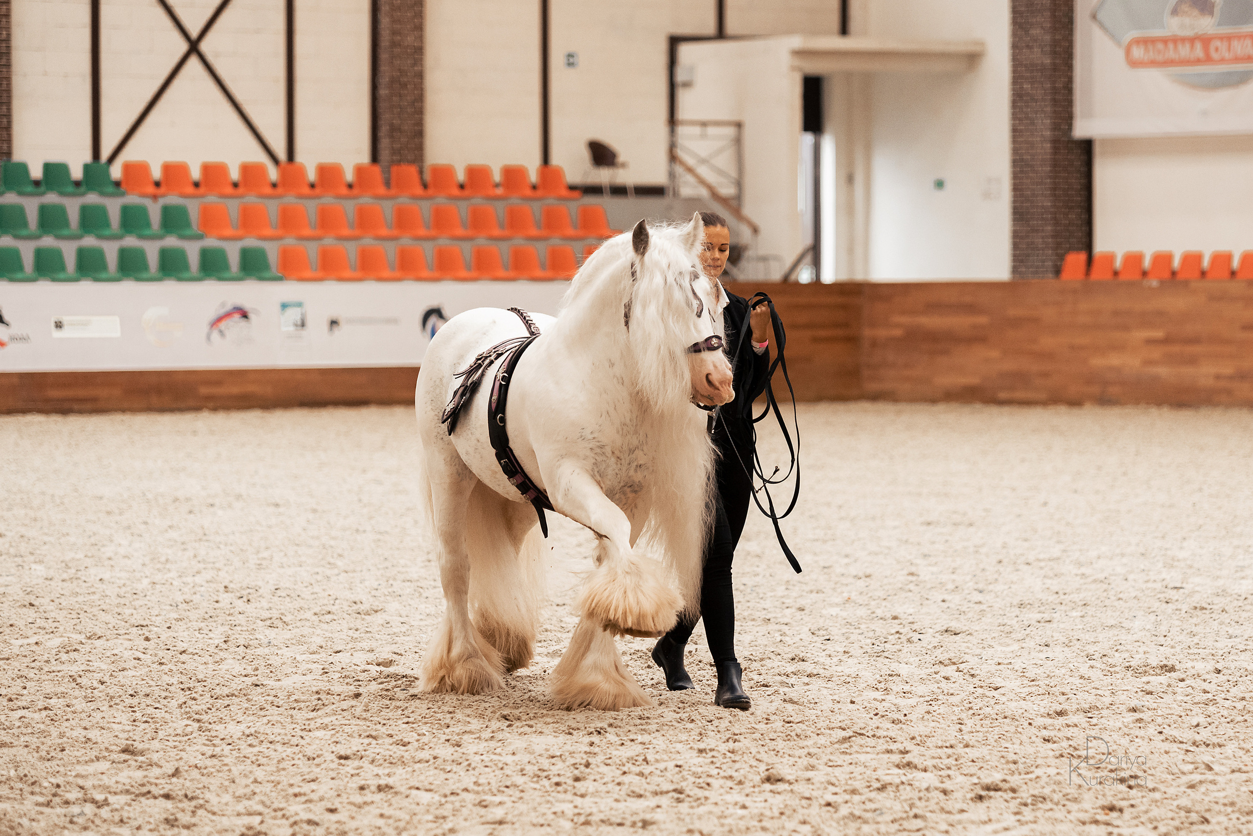 Конная Россия 2021. Конный фотограф Куракина Дарья • Фотосессии с лошадьми