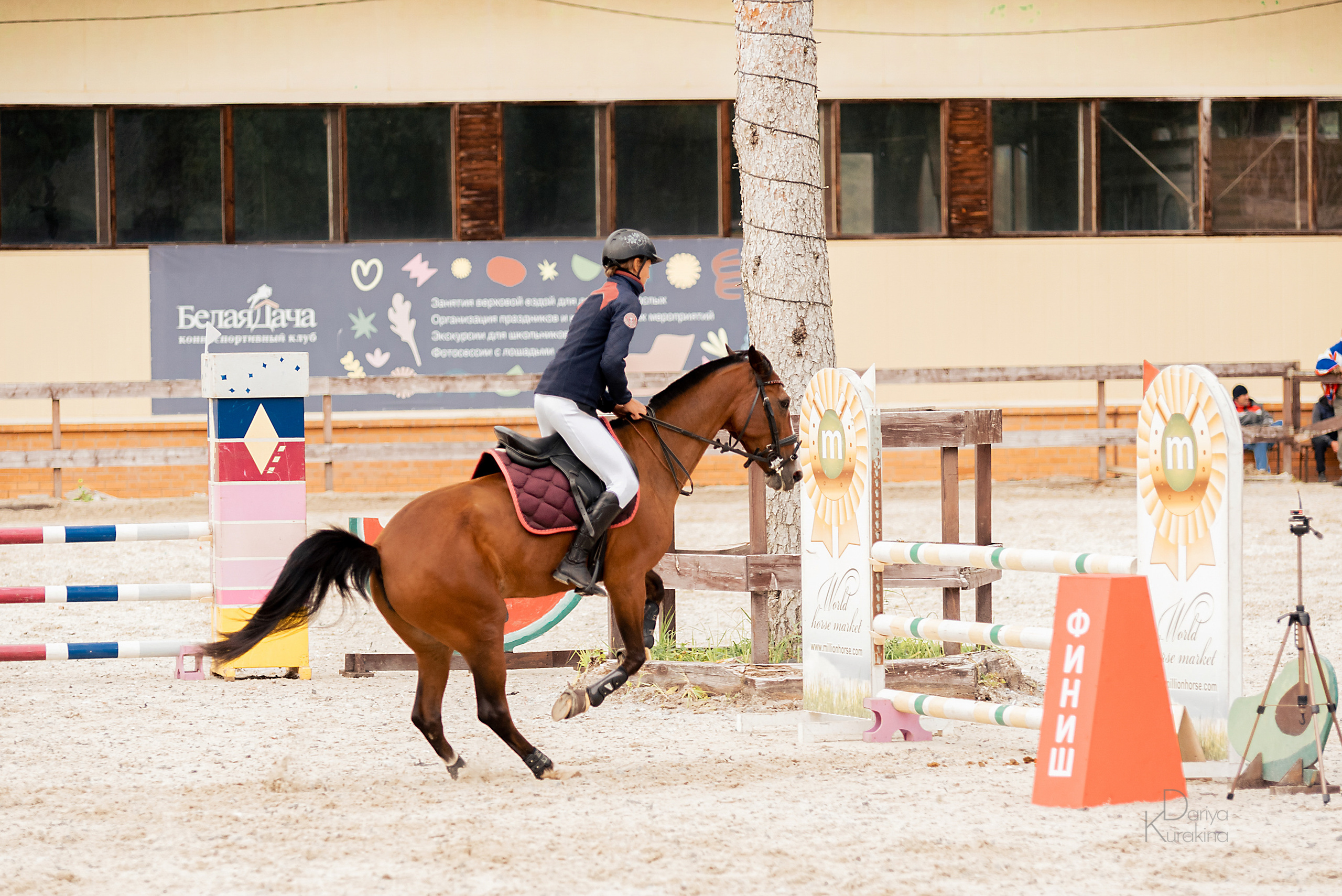 КСК Белая Дача, конкур. Конный фотограф Куракина Дарья • Фотосессии с лошадьми