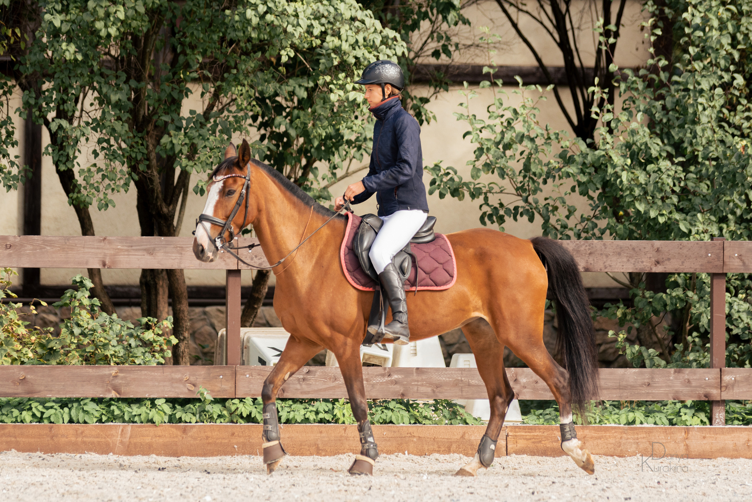 КСК Белая Дача, конкур. Конный фотограф Куракина Дарья • Фотосессии с лошадьми