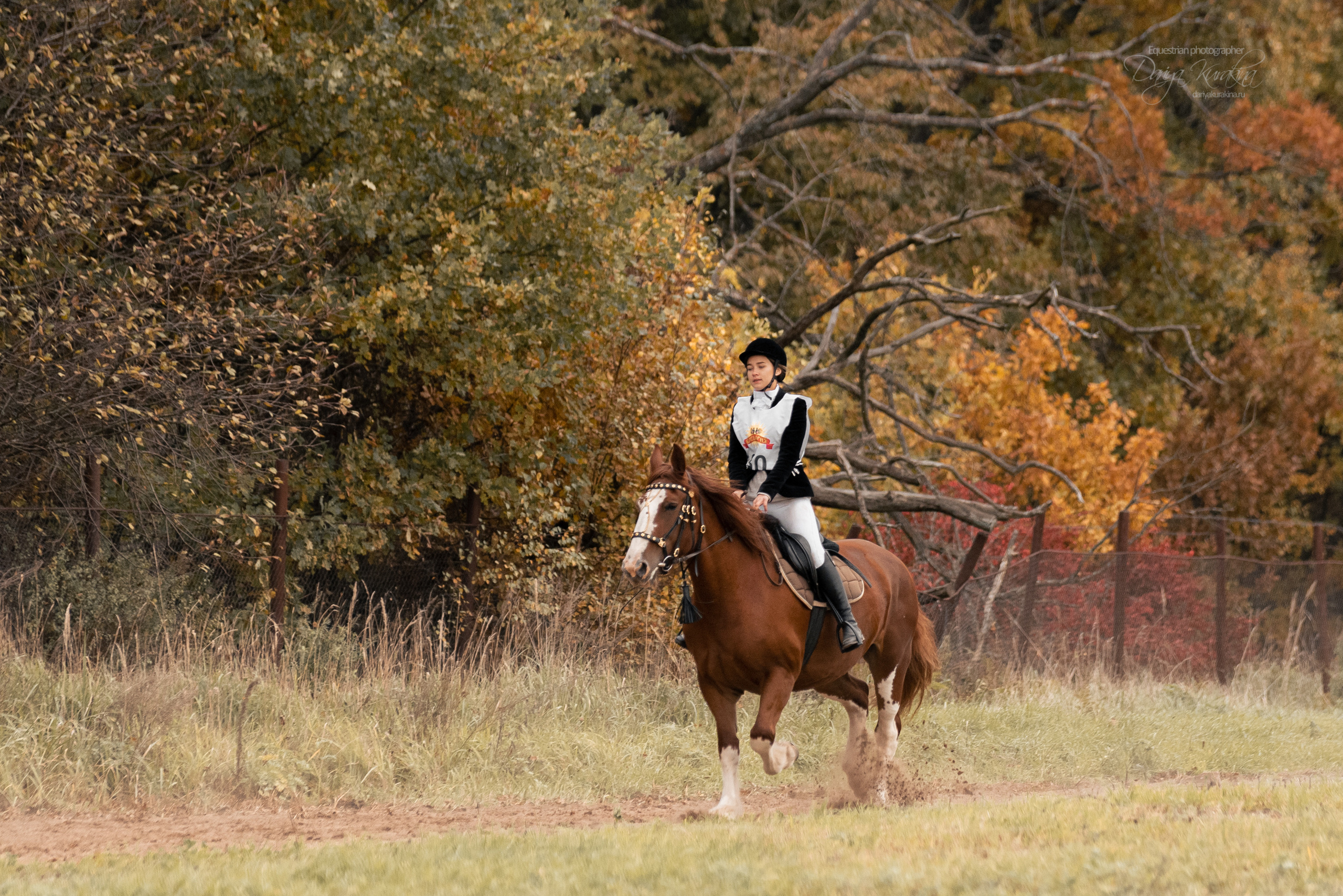Богдарня. Конный фотограф Куракина Дарья • Фотосессии с лошадьми