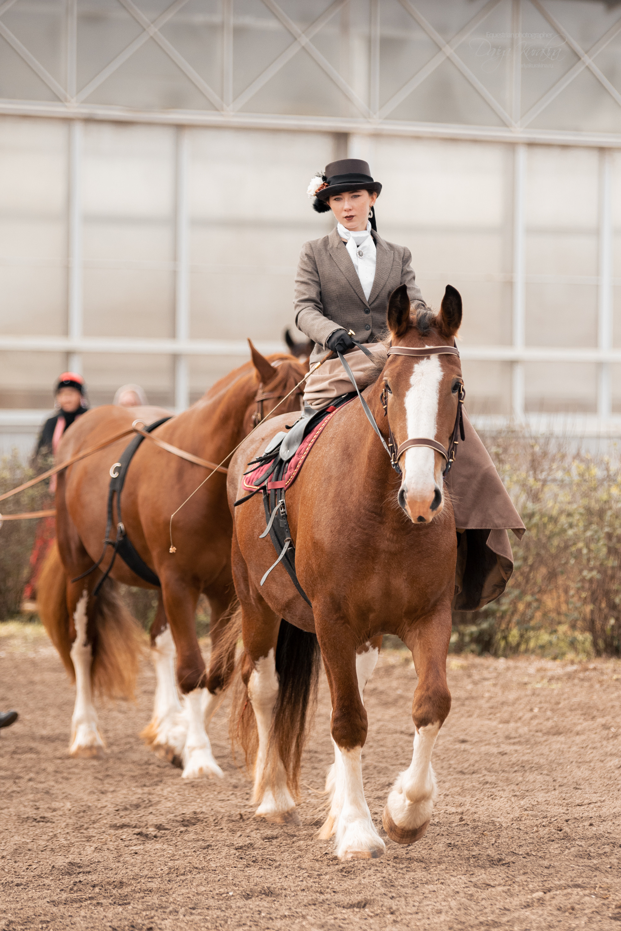 Богдарня. Конный фотограф Куракина Дарья • Фотосессии с лошадьми