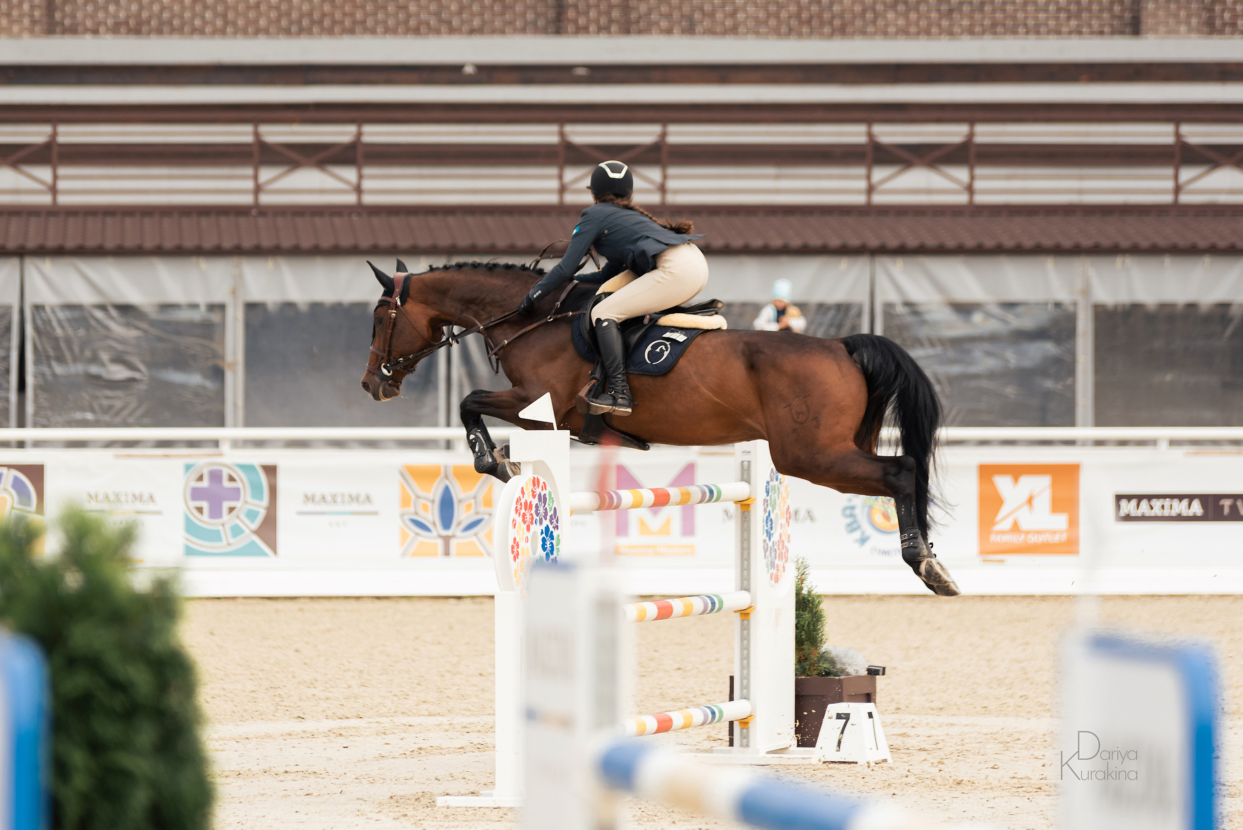 Конная Россия 2021. Конный фотограф Куракина Дарья • Фотосессии с лошадьми