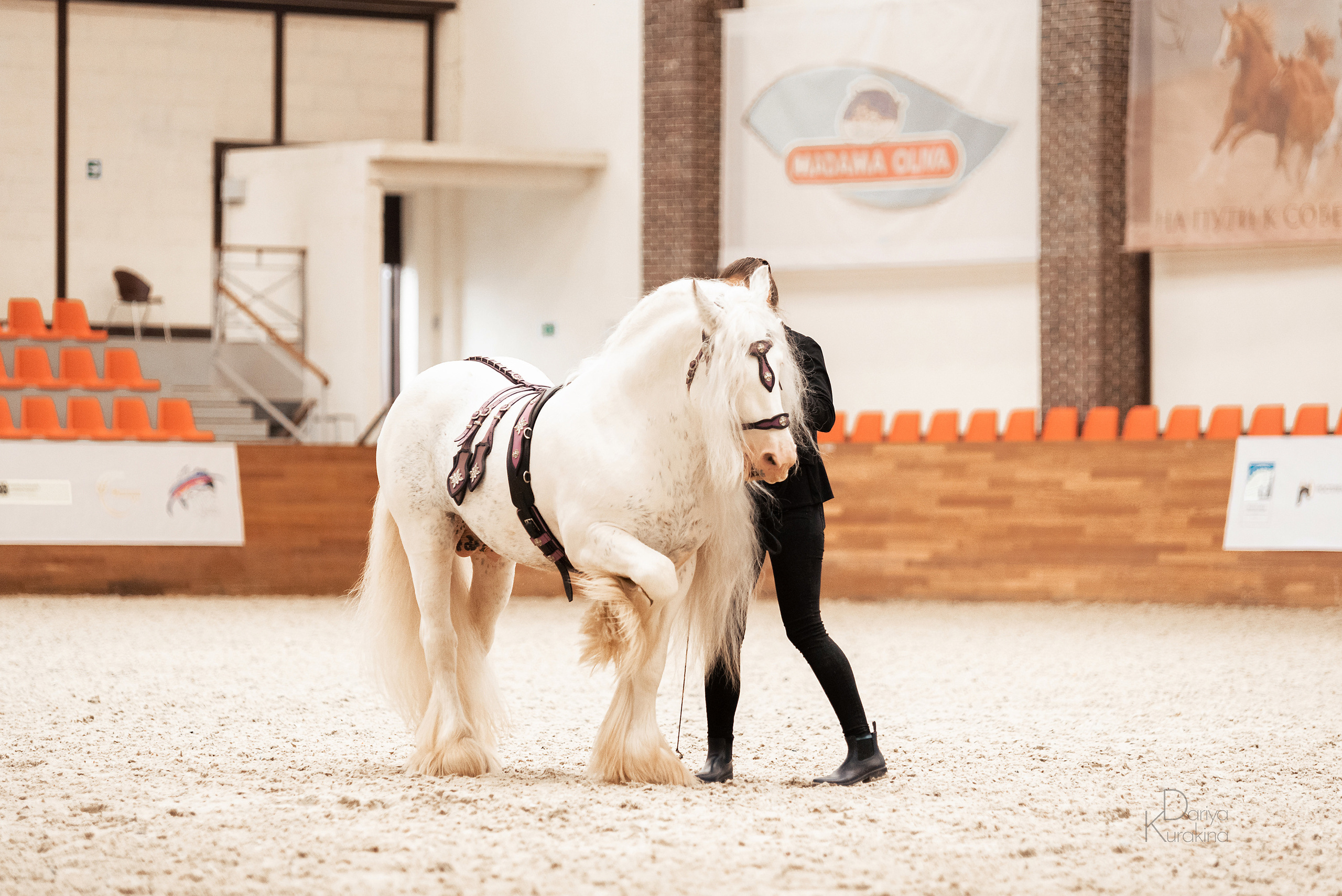 Конная Россия 2021. Конный фотограф Куракина Дарья • Фотосессии с лошадьми