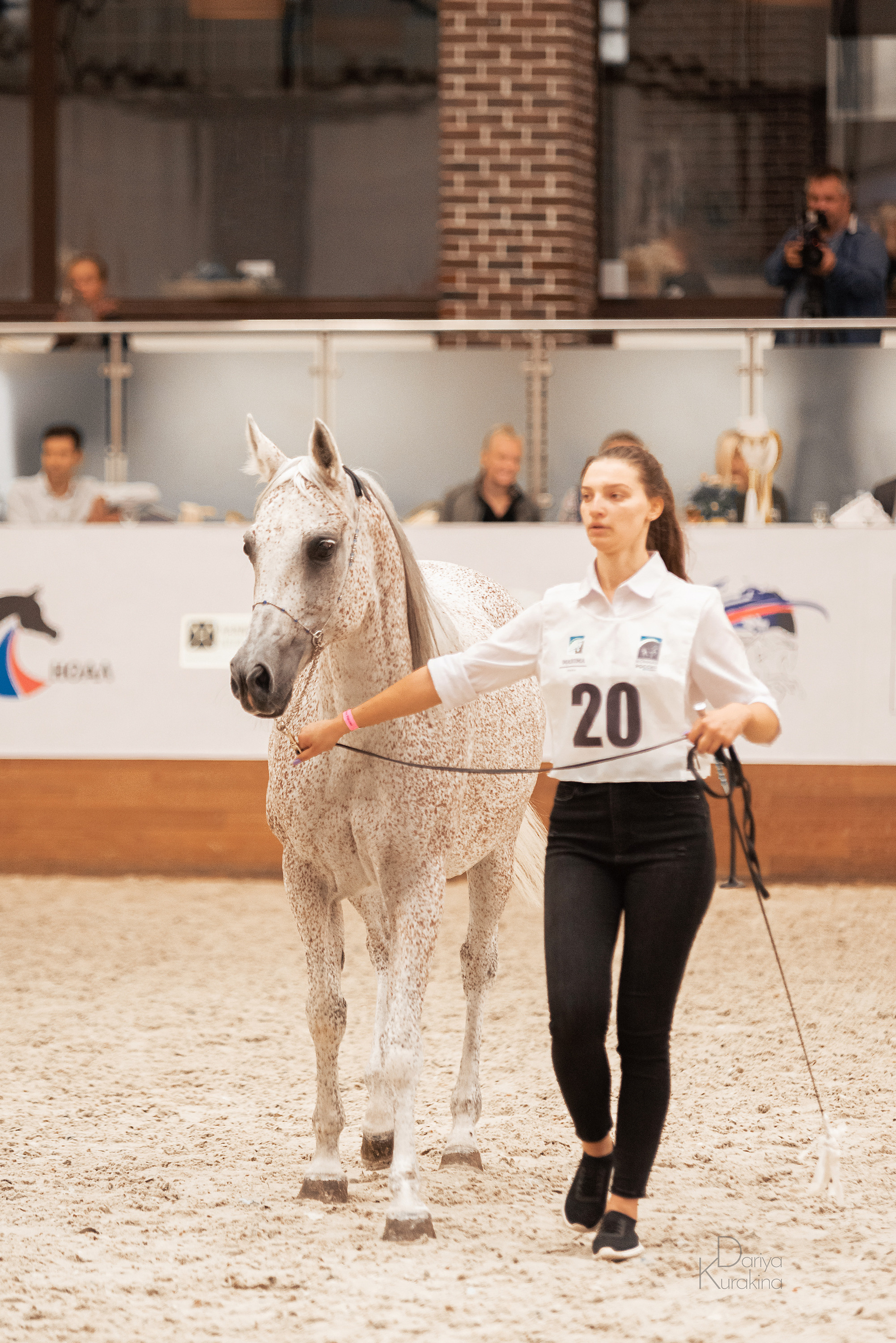 Конная Россия 2021. Конный фотограф Куракина Дарья • Фотосессии с лошадьми