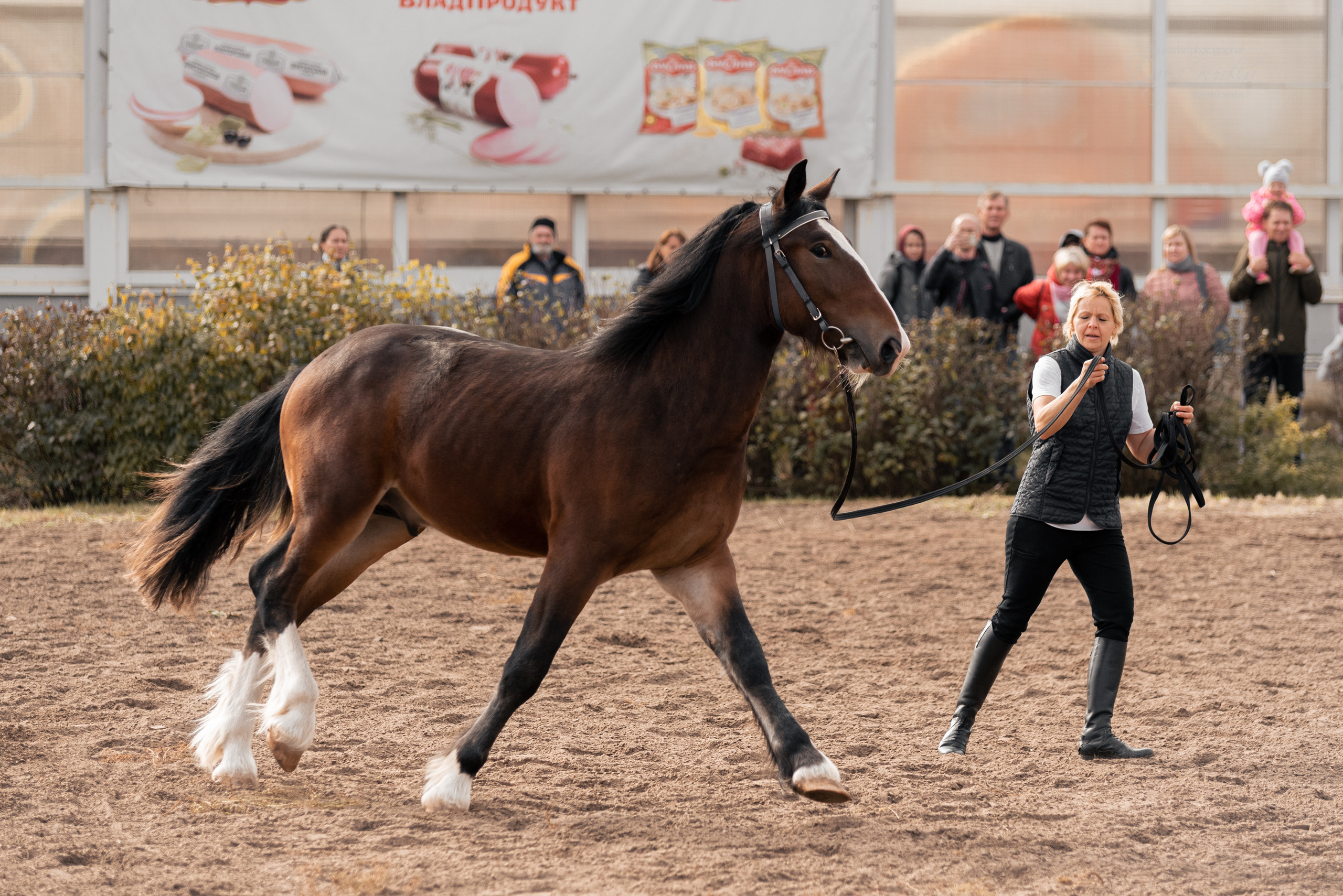 Богдарня. Конный фотограф Куракина Дарья • Фотосессии с лошадьми