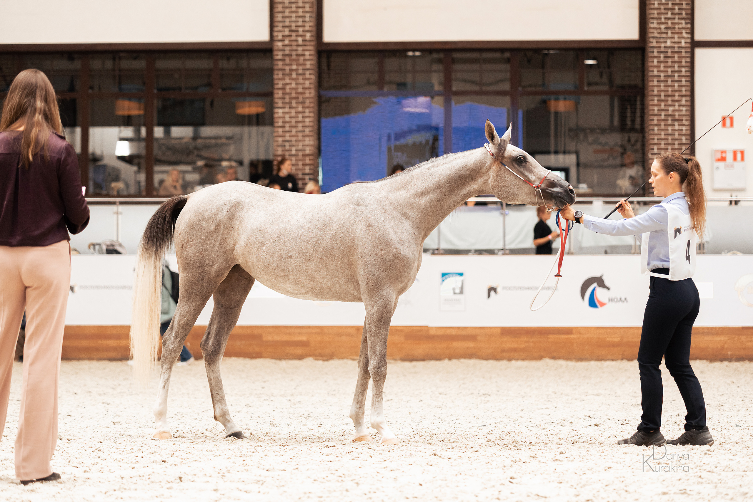 Конная Россия 2021. Конный фотограф Куракина Дарья • Фотосессии с лошадьми