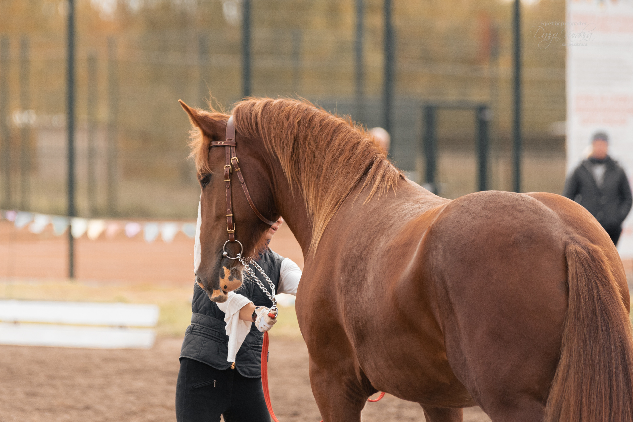 Богдарня. Конный фотограф Куракина Дарья • Фотосессии с лошадьми