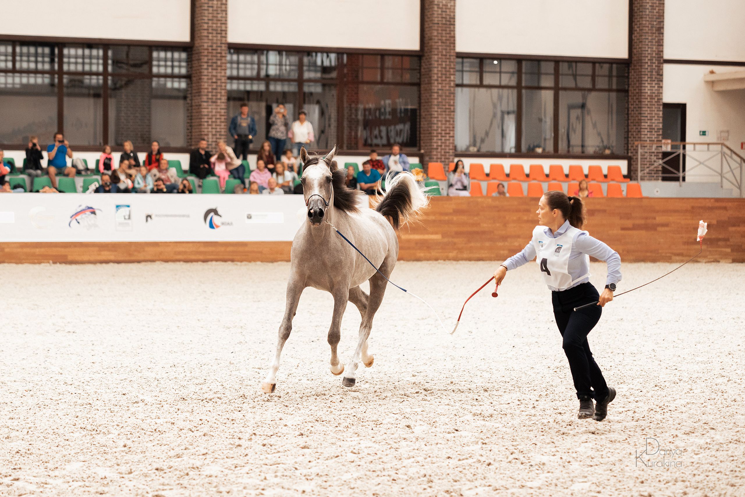Конная Россия 2021. Конный фотограф Куракина Дарья • Фотосессии с лошадьми
