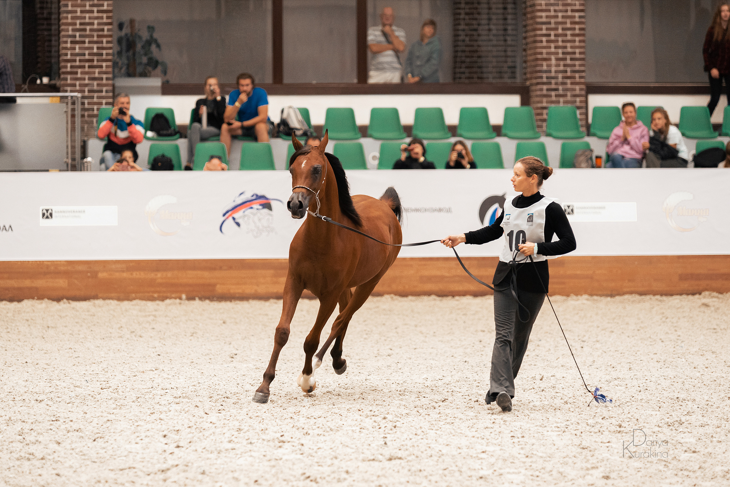Конная Россия 2021. Конный фотограф Куракина Дарья • Фотосессии с лошадьми